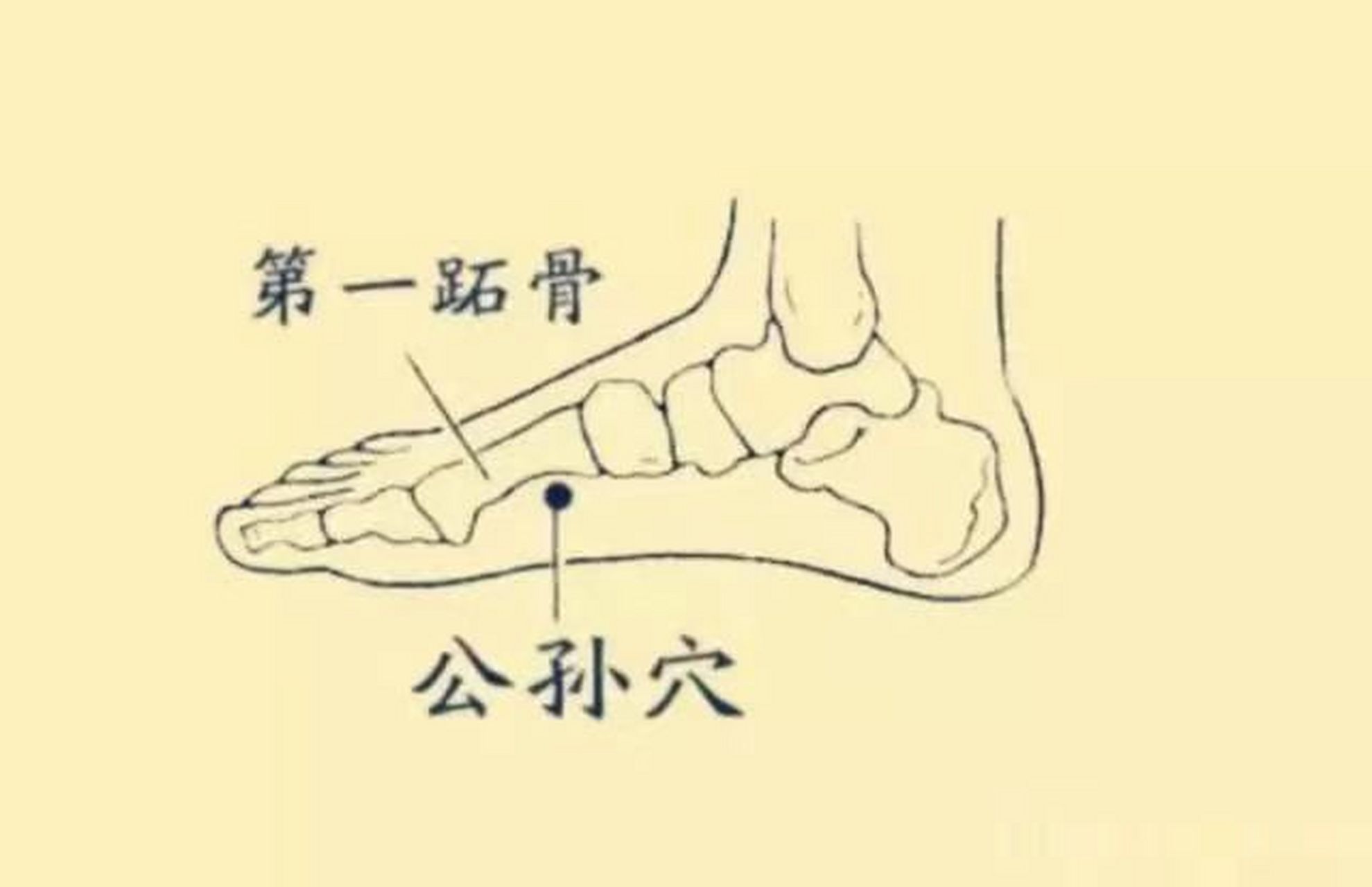 腰背 承山 求, 肚腹 公孙 留, 头顶寻 风池 , 面口 地仓 收 咳喘取 二