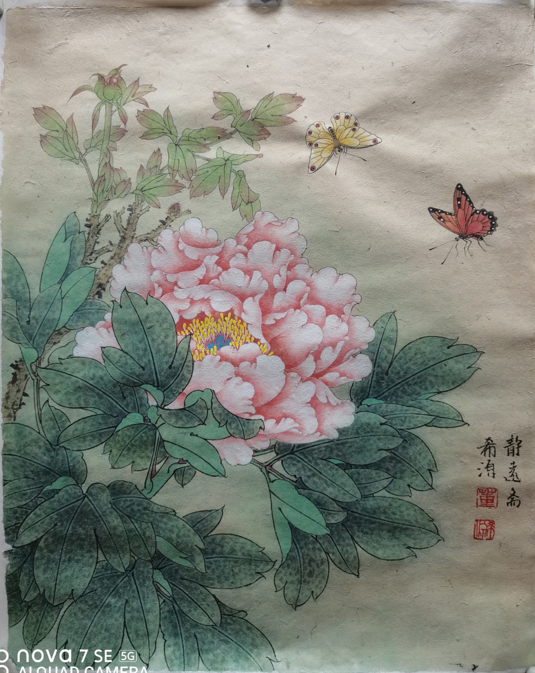 董希源工笔花鸟画小品欣赏