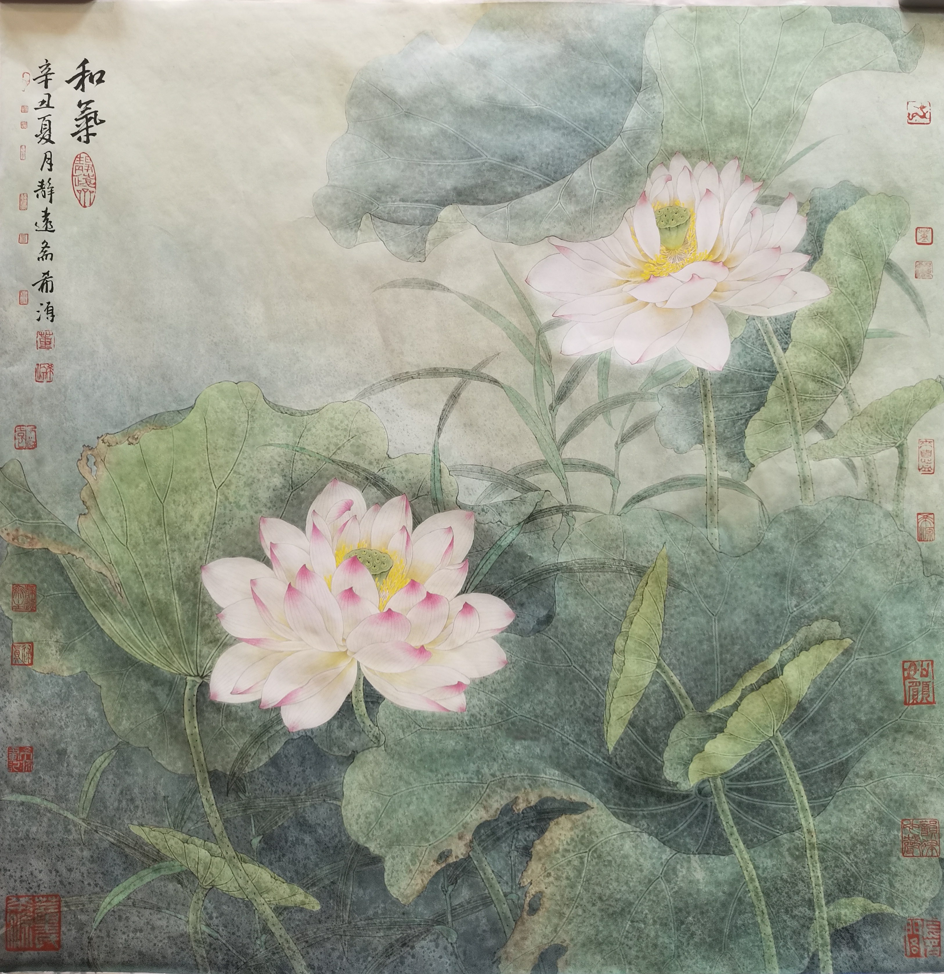 董希源工笔花鸟画欣赏