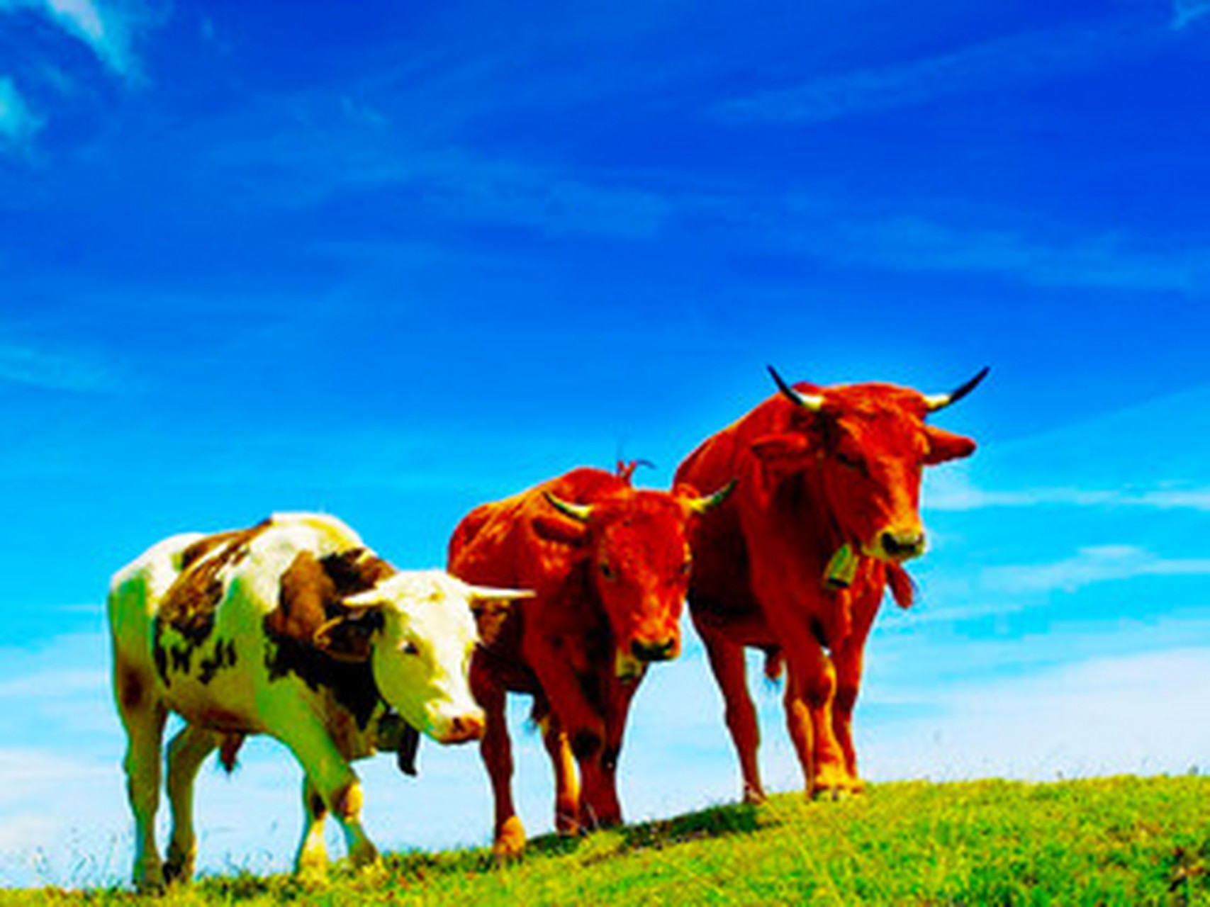 命理学入门系列2:乙丑日柱  乙丑是六十甲子中的第二个,纳音是海中金