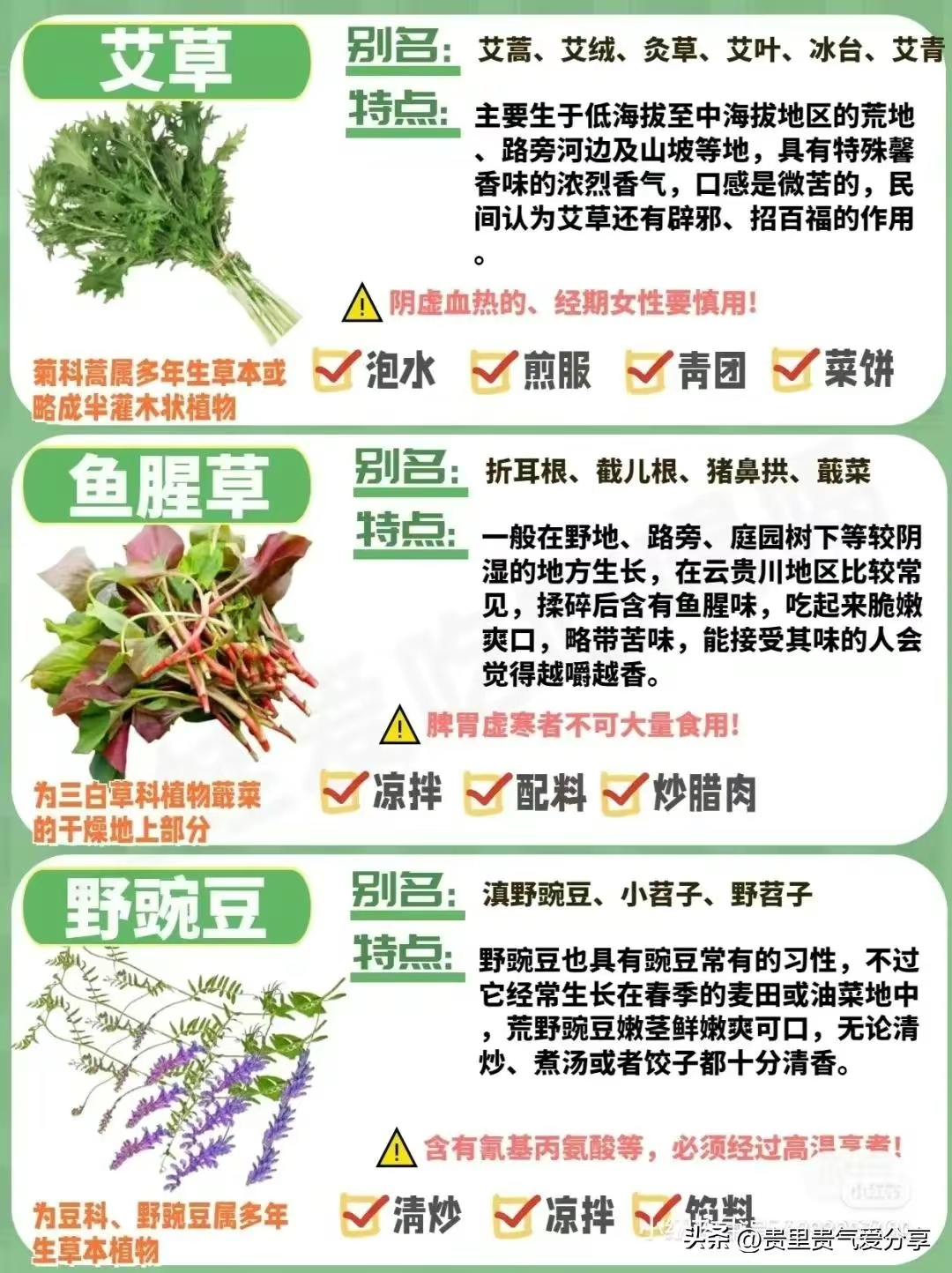 春季时令蔬菜大全