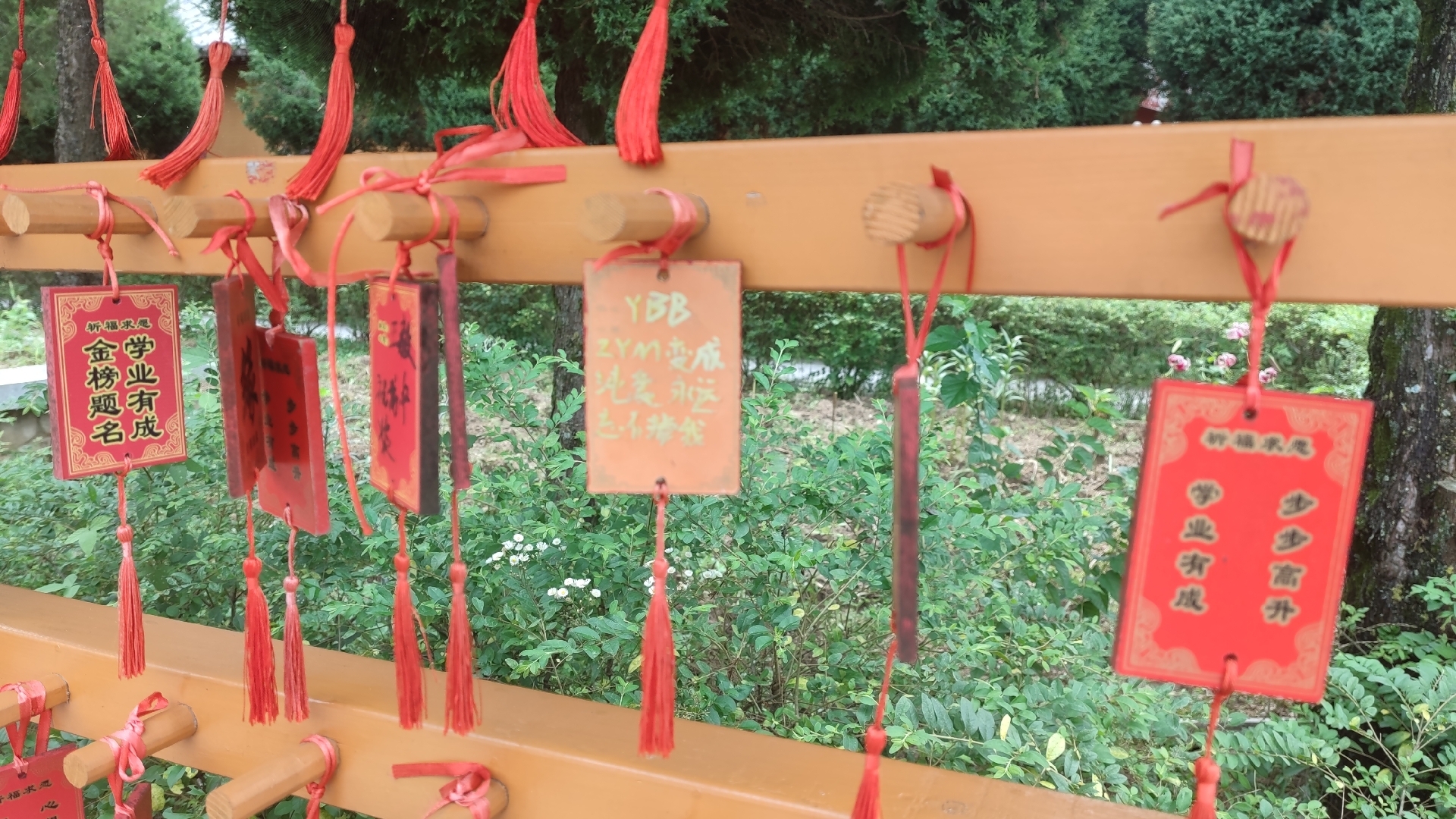 寺院里的祈愿牌,内容是zym变成纯爱 永远忘不掉我 [吃瓜] 很可爱愿望