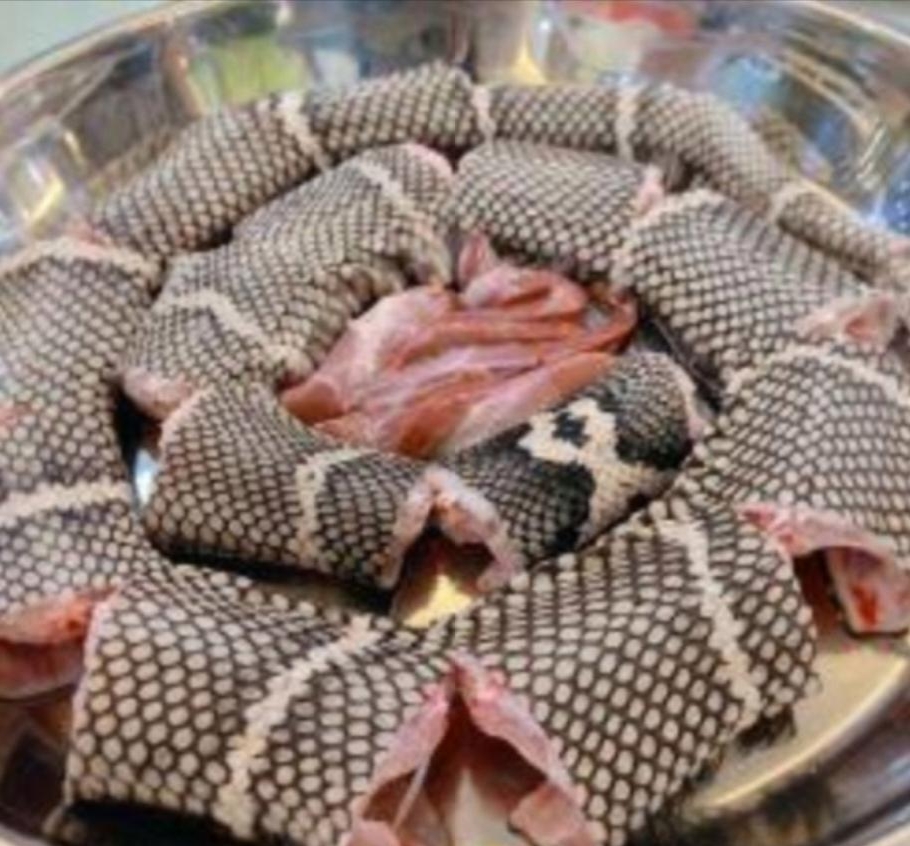 下饭店吃饭,我点了店里的招牌菜,进口长鱼,我到后厨看了,这不是蛇肉吗