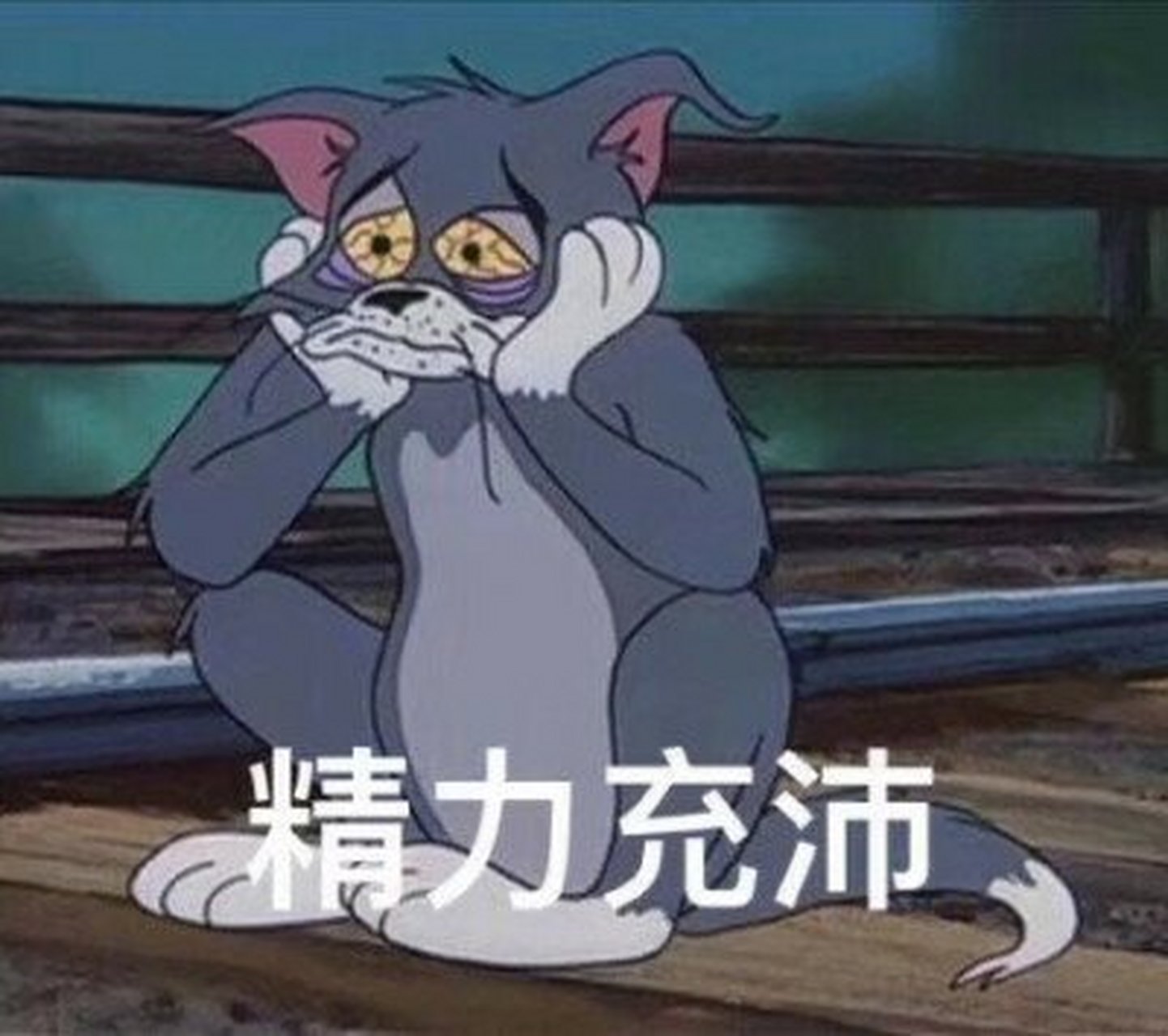 tom and jerry表情包[笑哭]