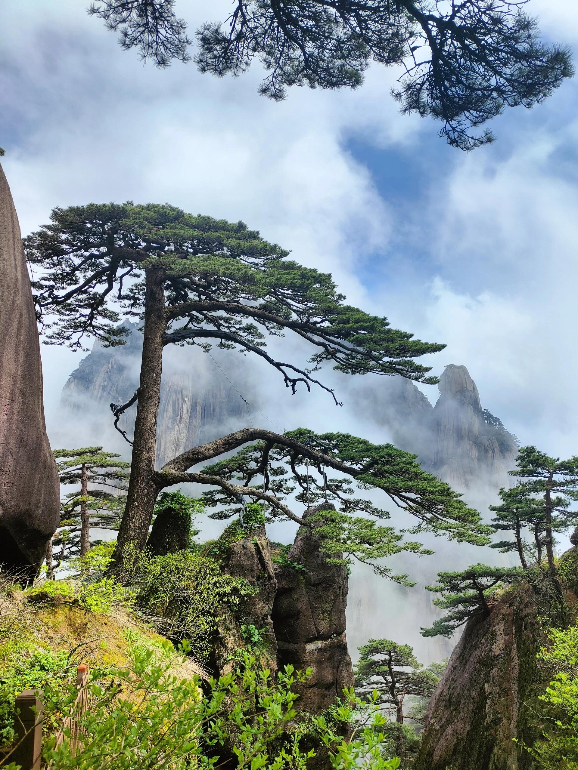 我的假期这样玩  现实中的黄山风景区跟五一节假期的黄山风景区