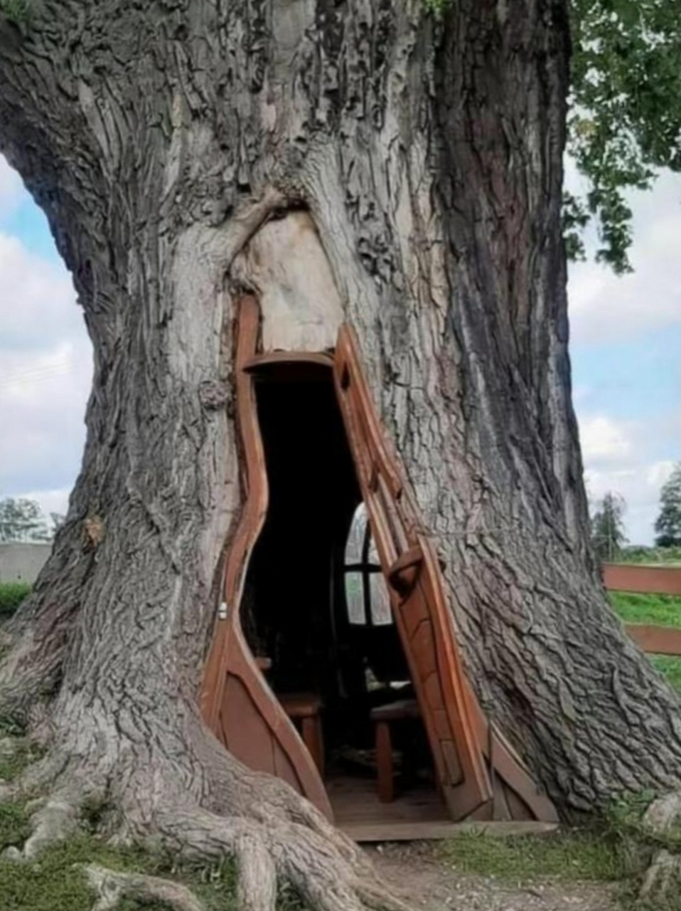 这个天然的树洞房子真的太美了,是大自然馈赠给人们的房屋,你喜欢吗?