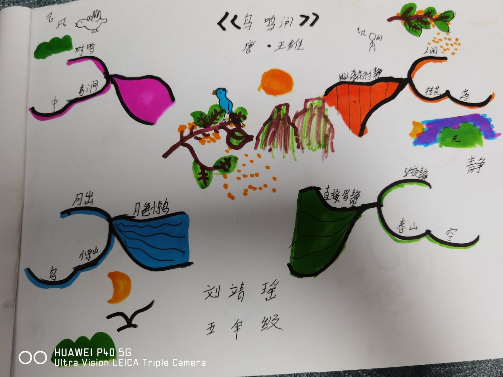 《鸟鸣涧》 的思维导图