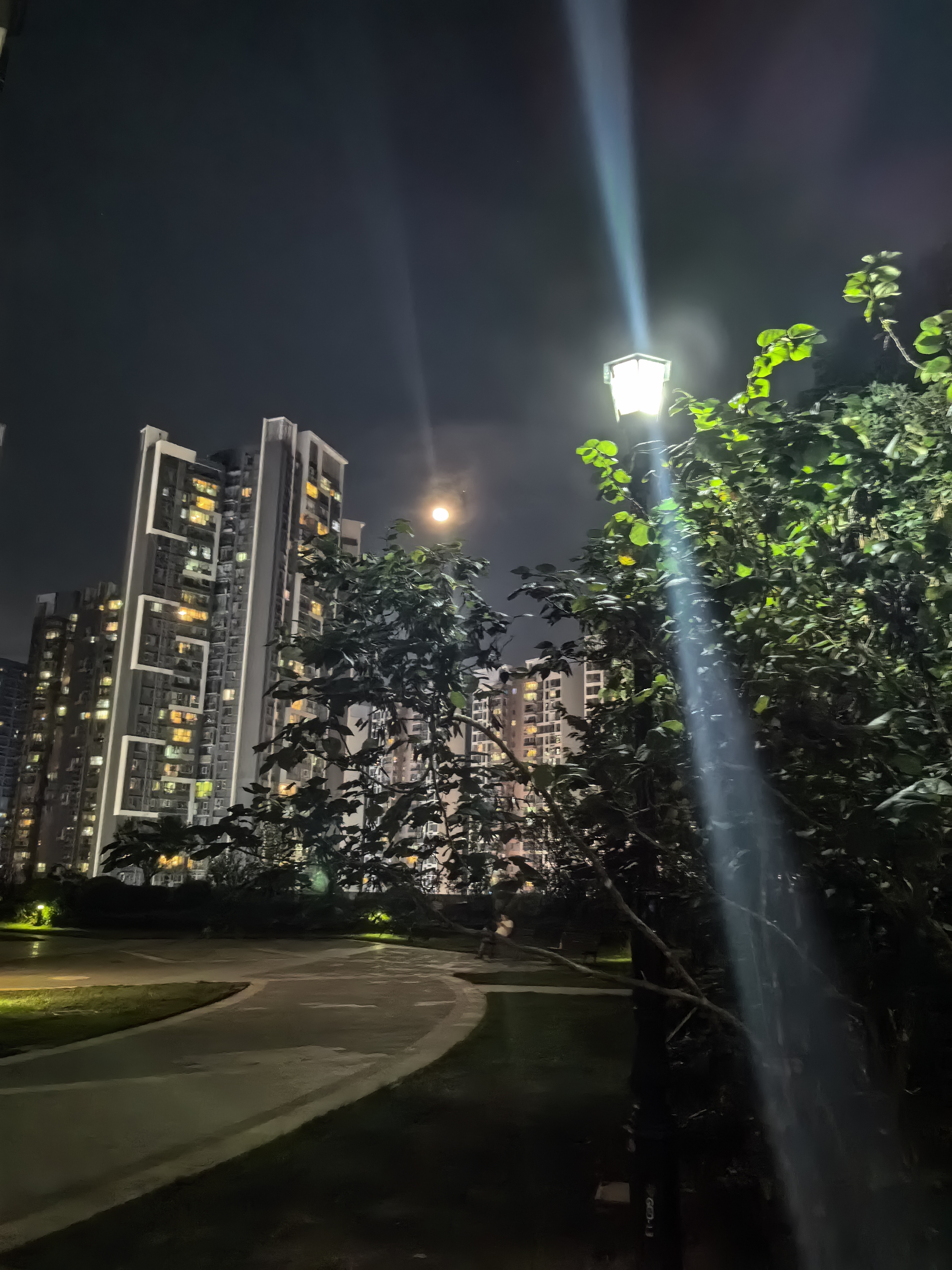 图片家的夜晚风景照片小区深夜真实马路风景照圆月与小区小区夜晚路灯