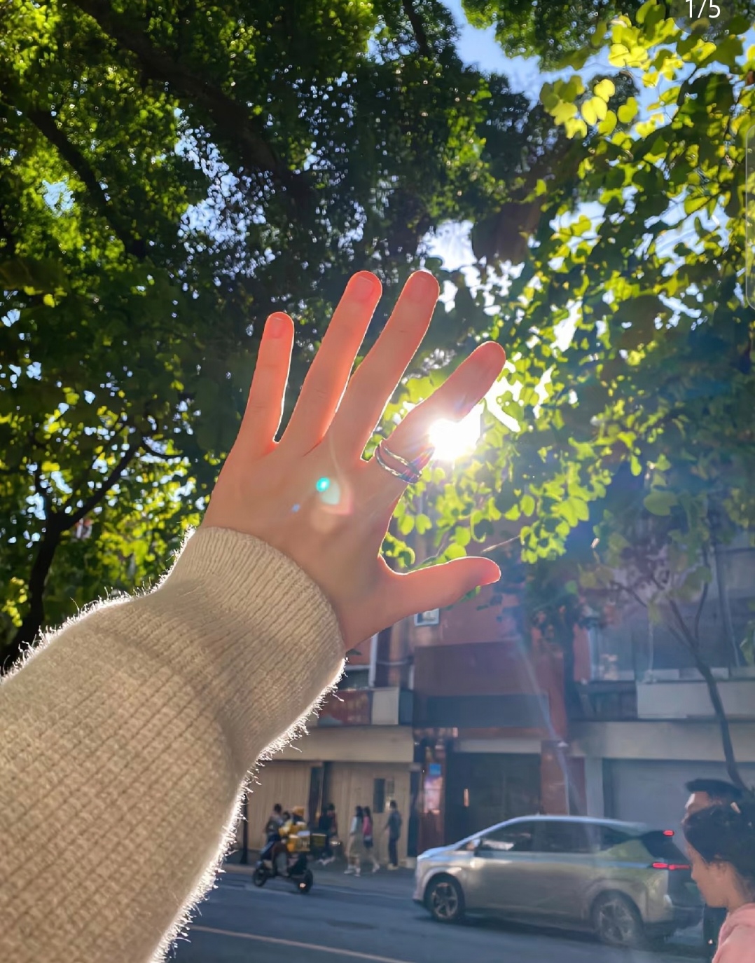 阳光,是大自然最神奇的画笔,总能在不经意间勾勒出令人陶醉的美景