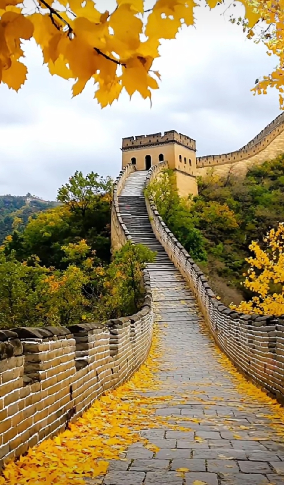 秋日长城:历史与美景的交融   当秋风轻拂,长城宛如