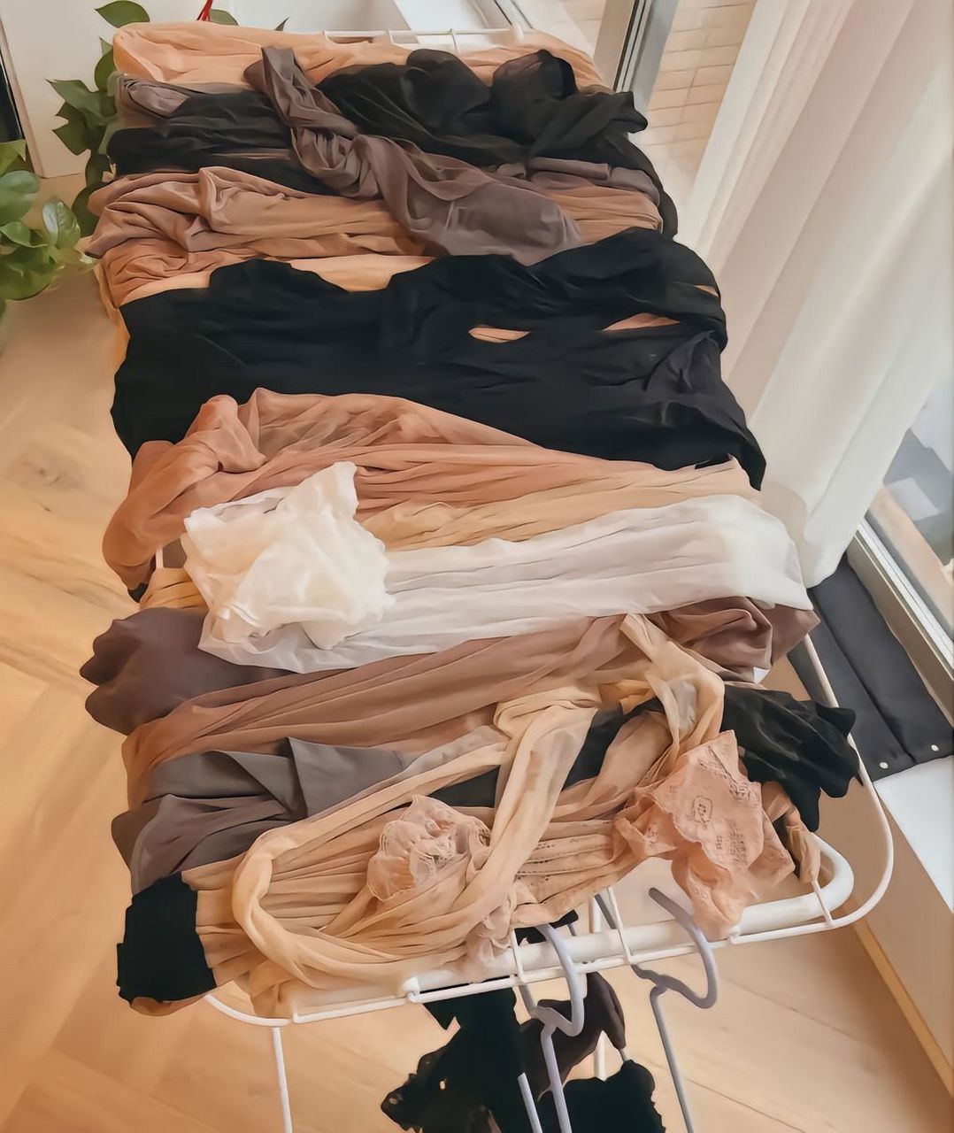 拿出来晒晒太阳#丝袜