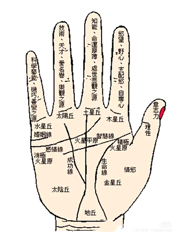 以下是一些可以尝试的找对象的较快方法: