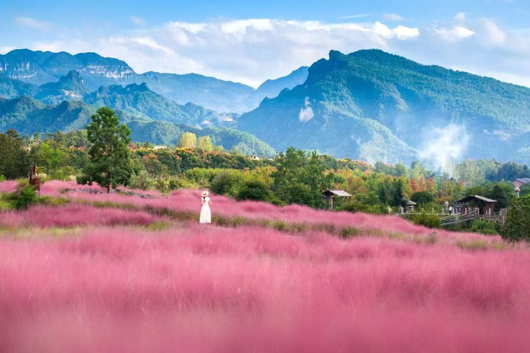 两江粉黛山公园图片