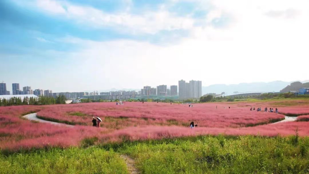 两江粉黛山公园图片