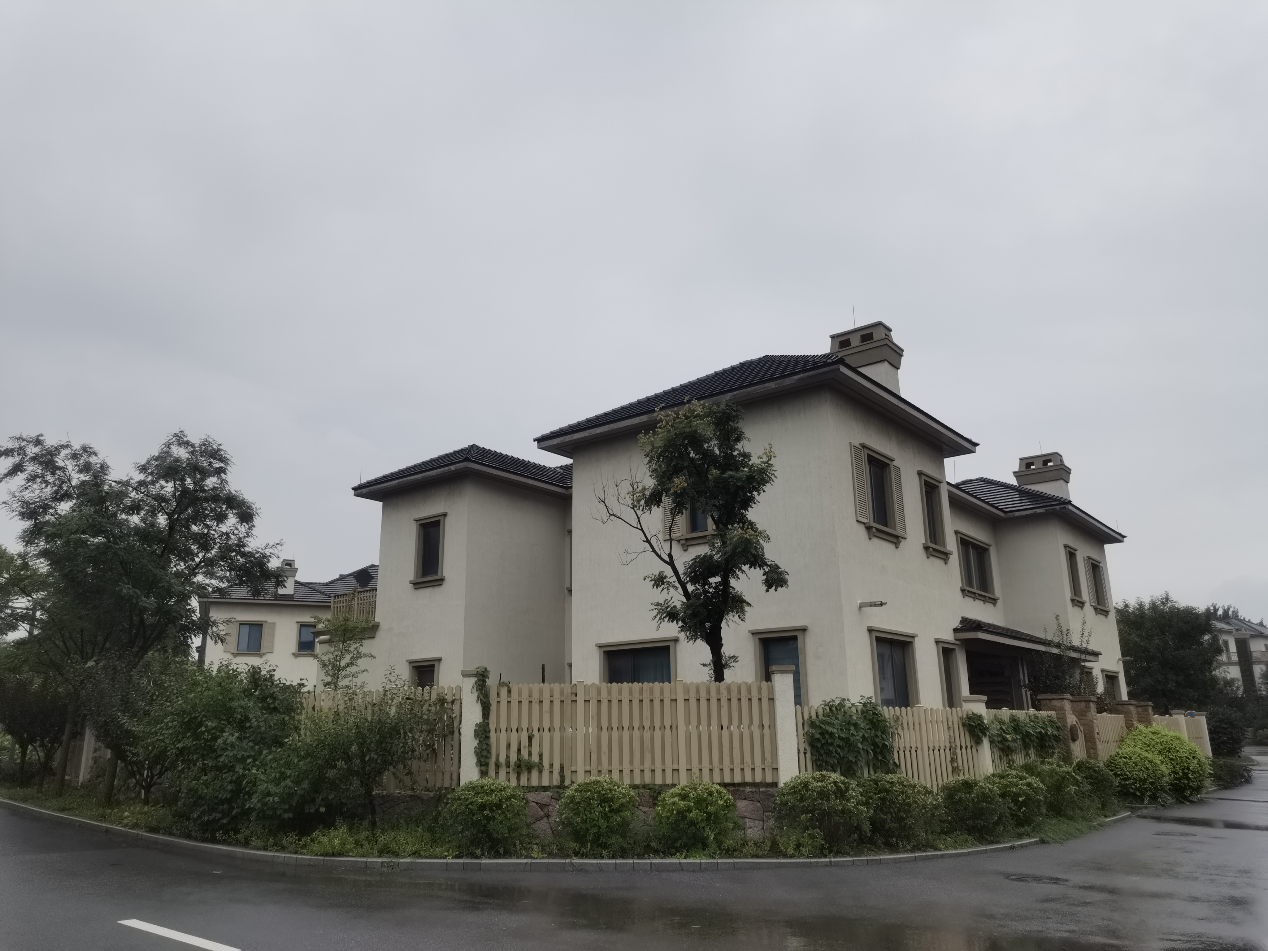 在这安静的角落,我独享这份宁静与惬意