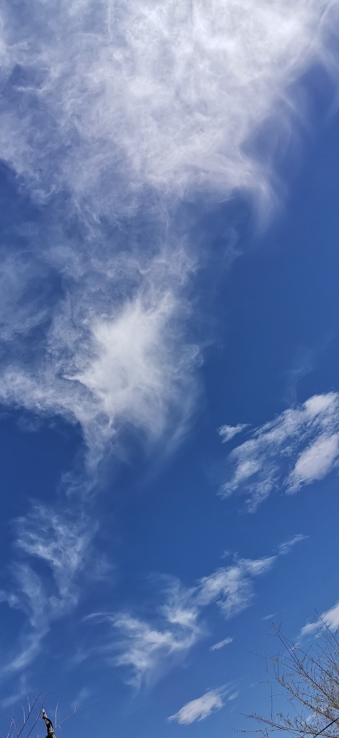 《看云识天气》蓝蓝的天空白白的云,蓝天白云晴空万里