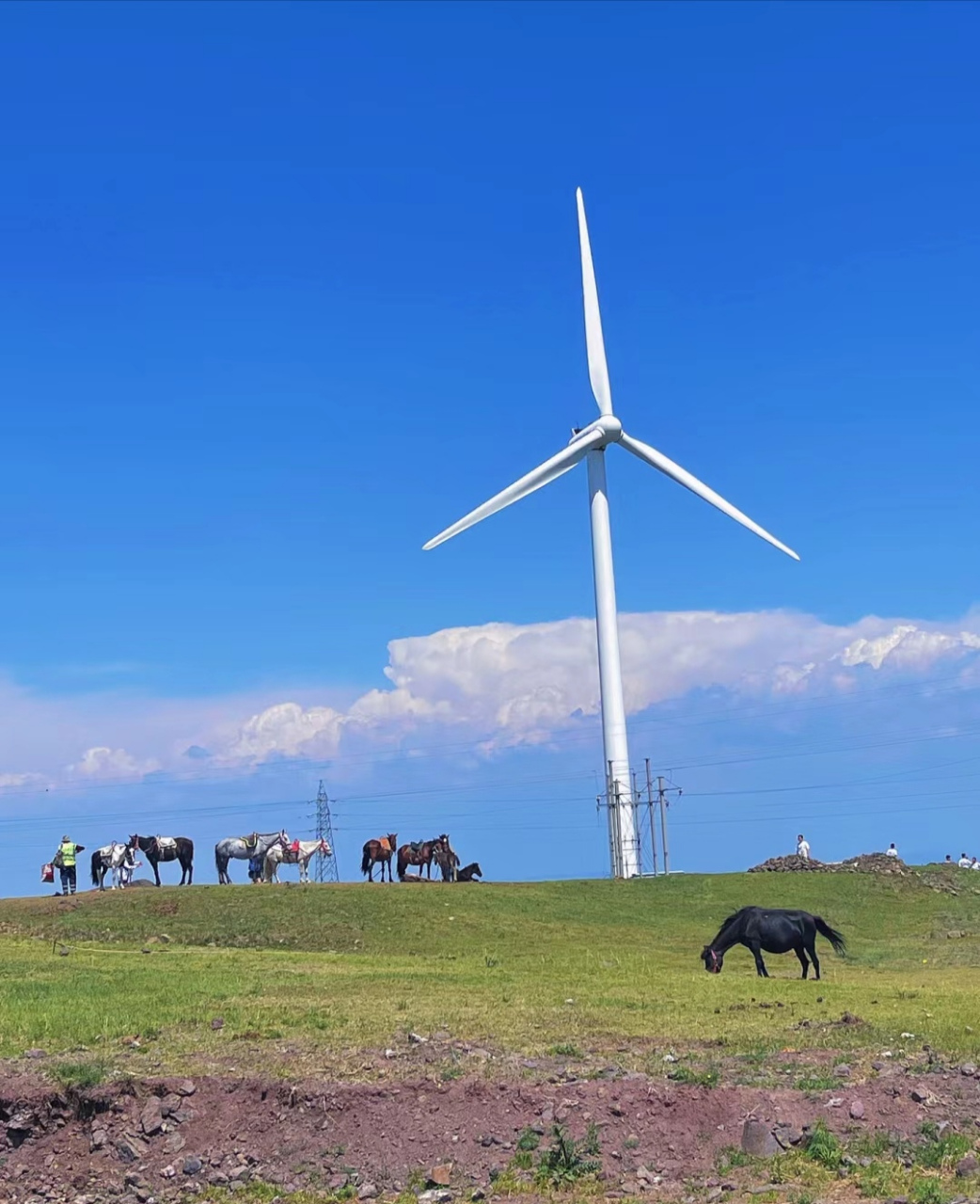 热点引擎计划# 张北县,位于河北省张家口市,是一个风光旖旎,自然自创