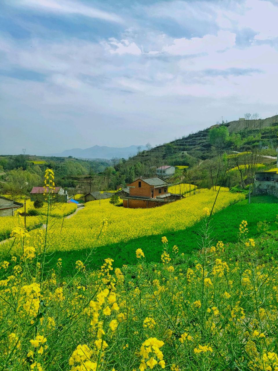 奔赴春天的旅行#清明假期甘肃文旅爆火