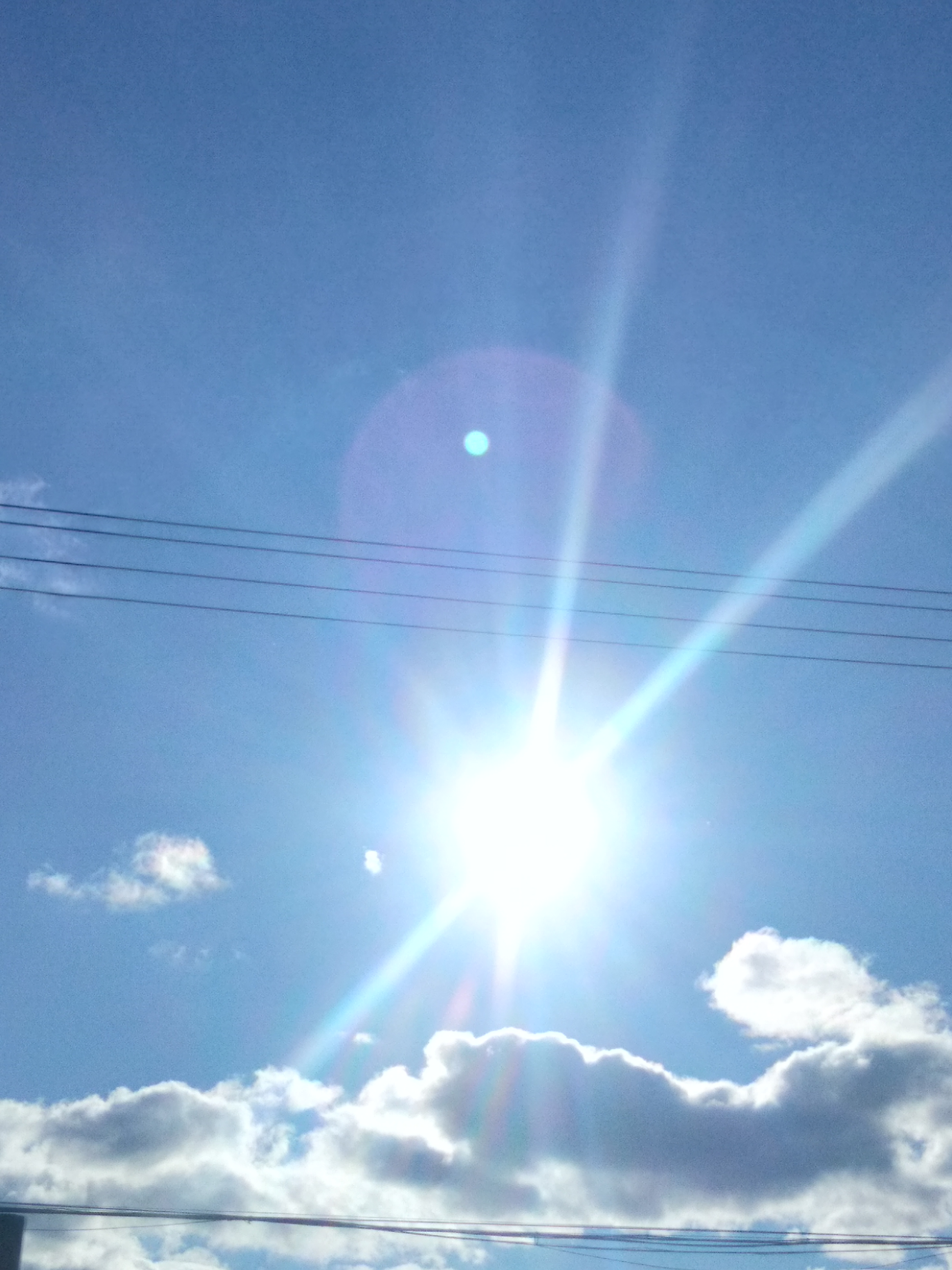 阳光照进了我的世界,可我觉得它格外耀眼