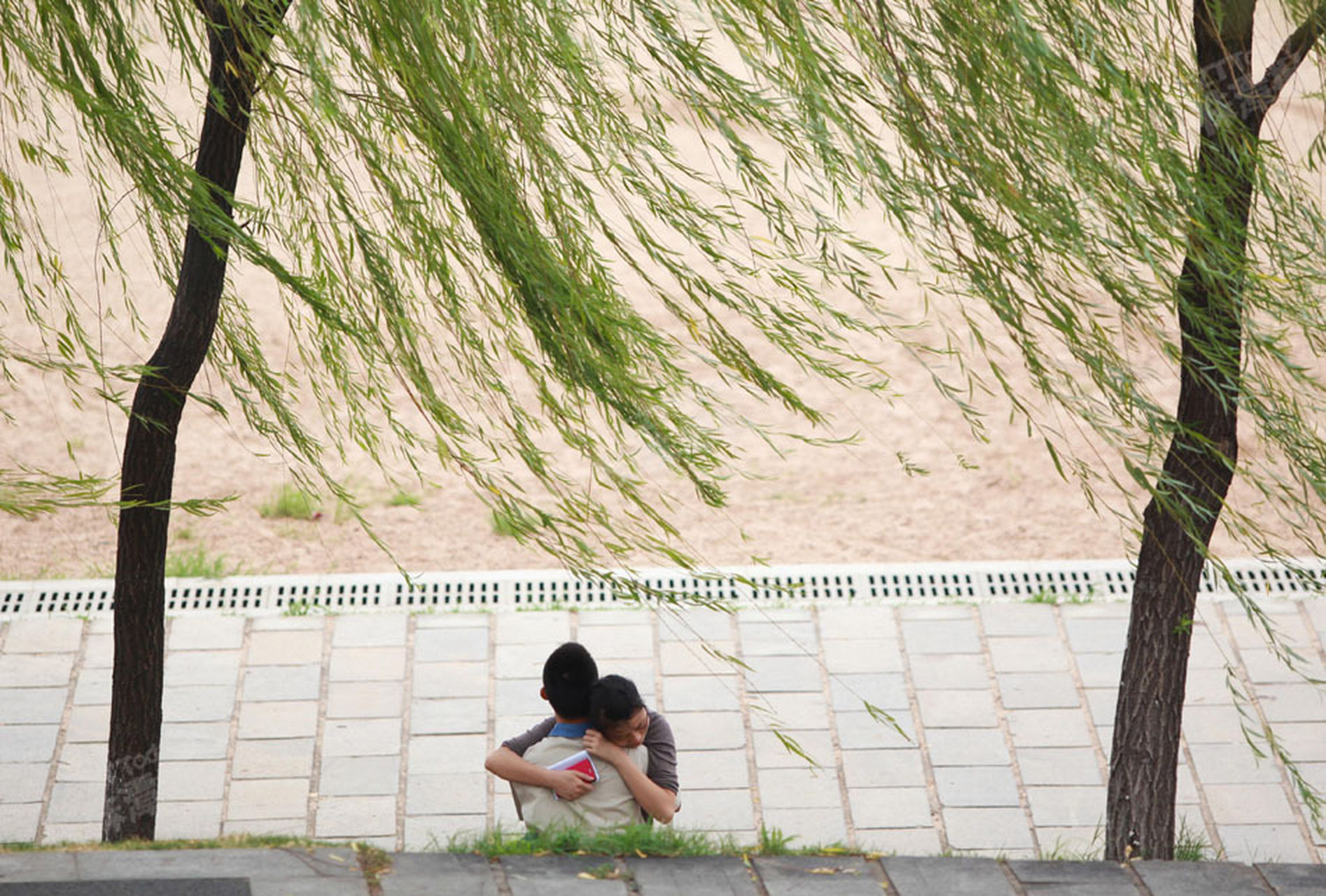 风中舞,风中舞舞了梨花花又开 风中舞,风中舞舞了梨花花又开
