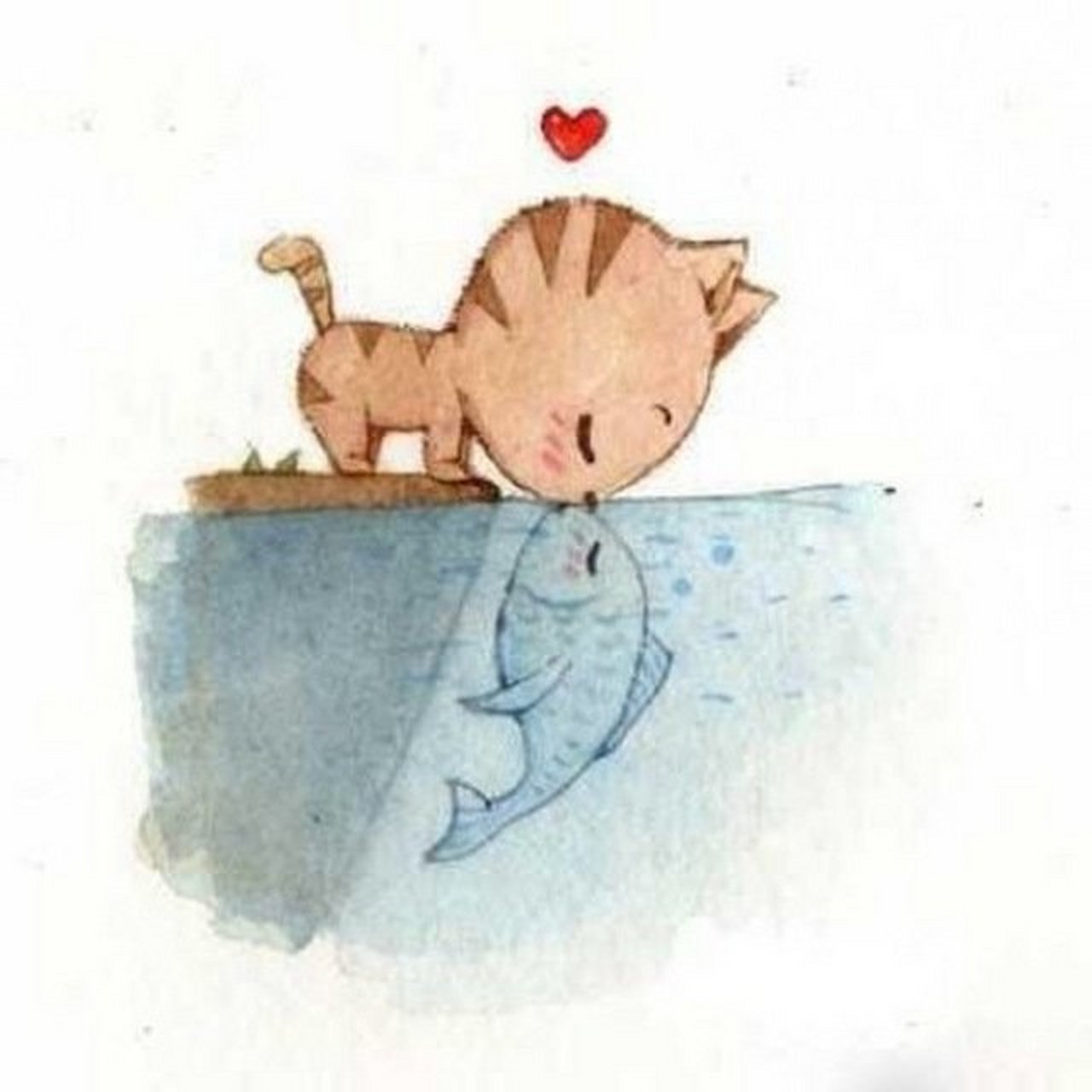 鱼爱上猫千万别上岸