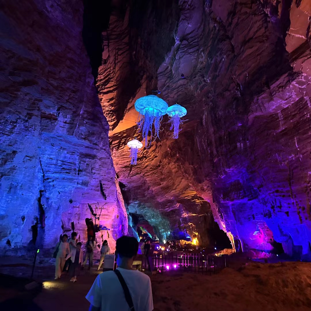 "曾梦想仗剑走天涯,看一看世界的繁华,年少的心总有