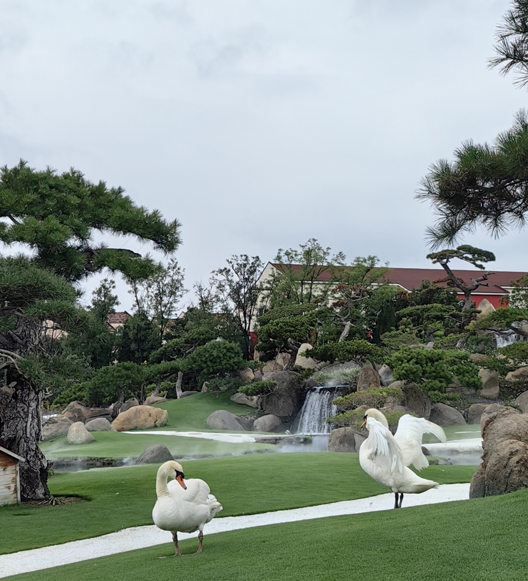 "摄影是我少年时期的梦想,我想把大自然最美的瞬间变成永恒