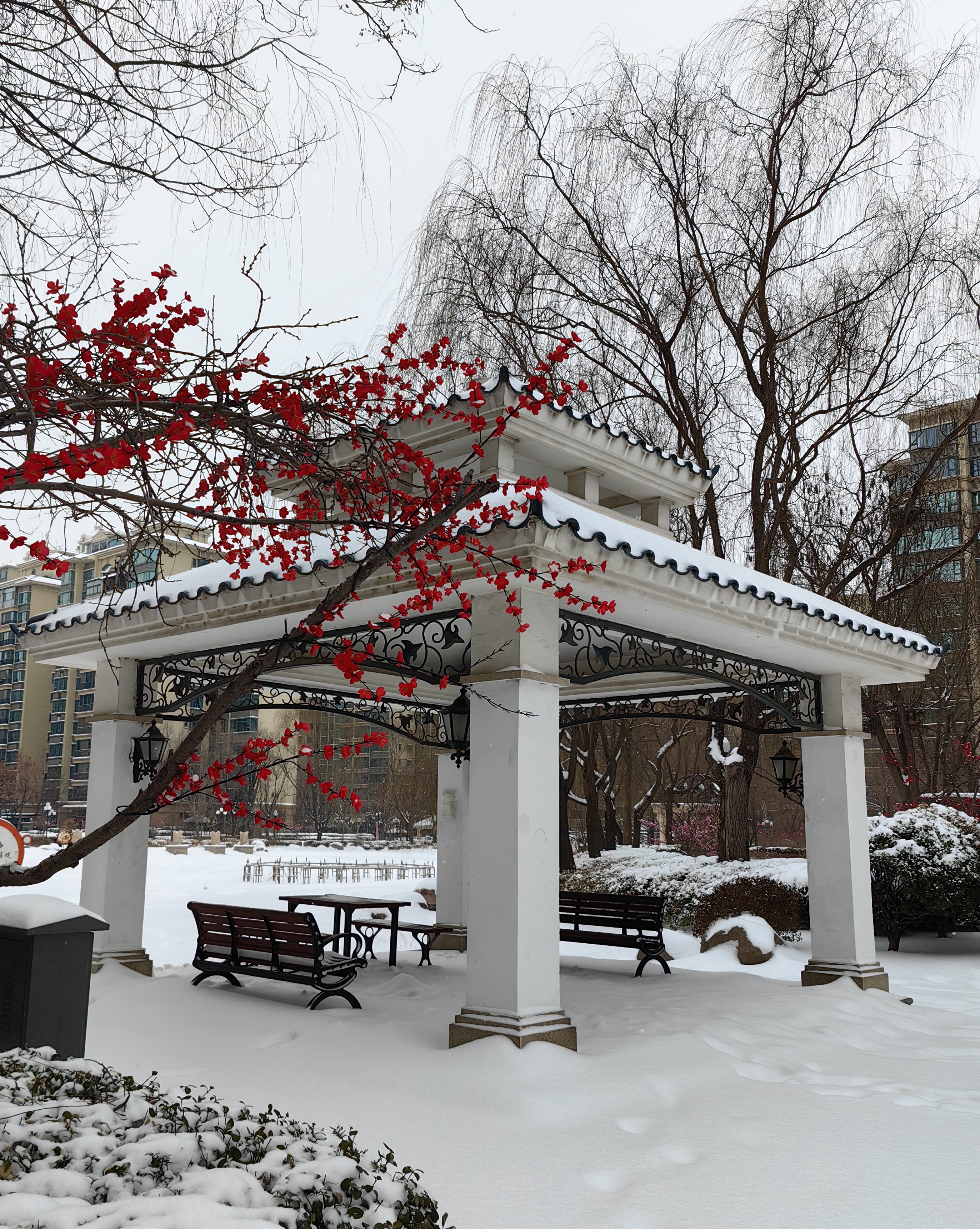 福州雪景图片