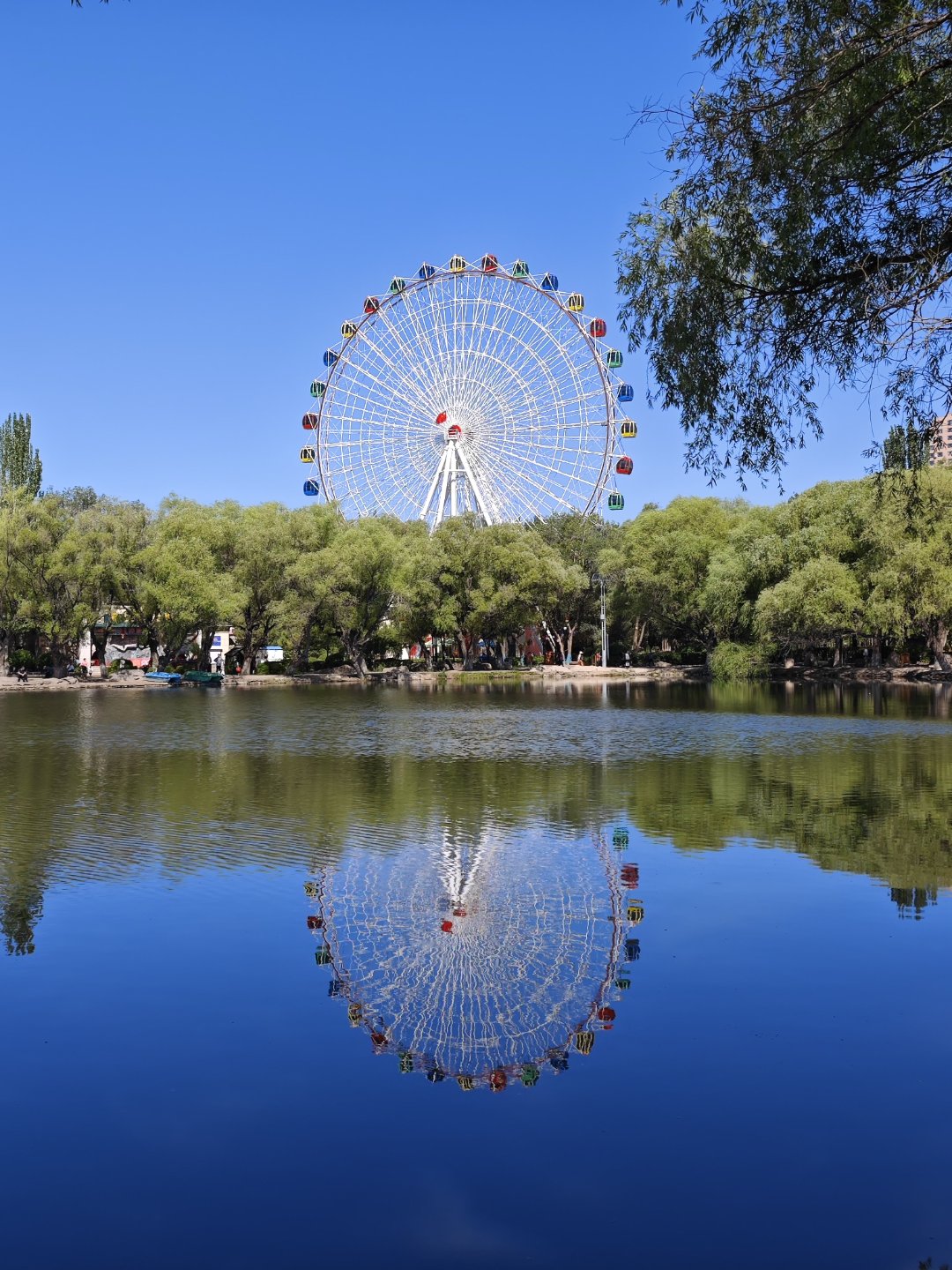 呼和浩特市青城公园美景