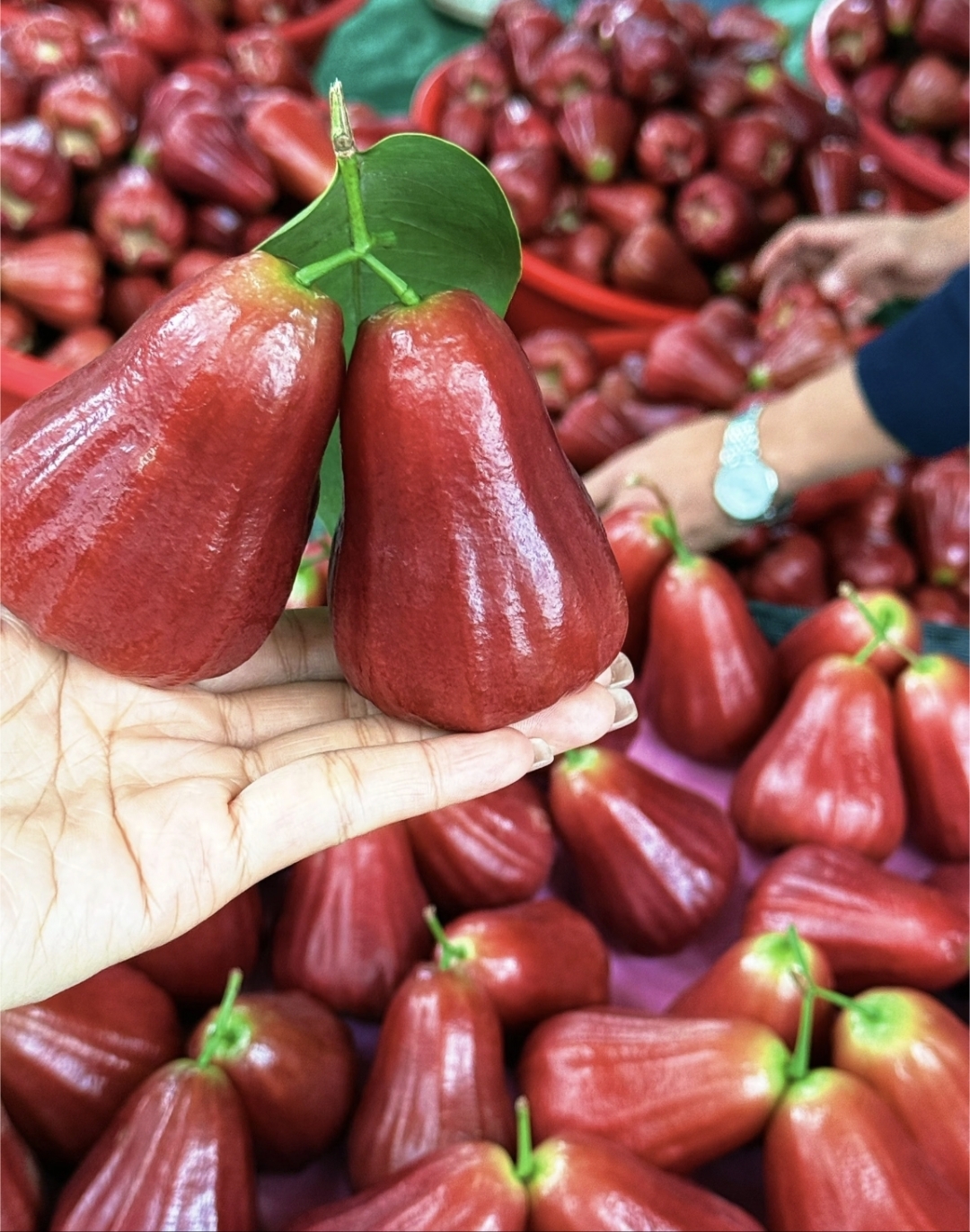 莲雾在厦门街头是比较常见的,爽口润喉,脆甜多汁