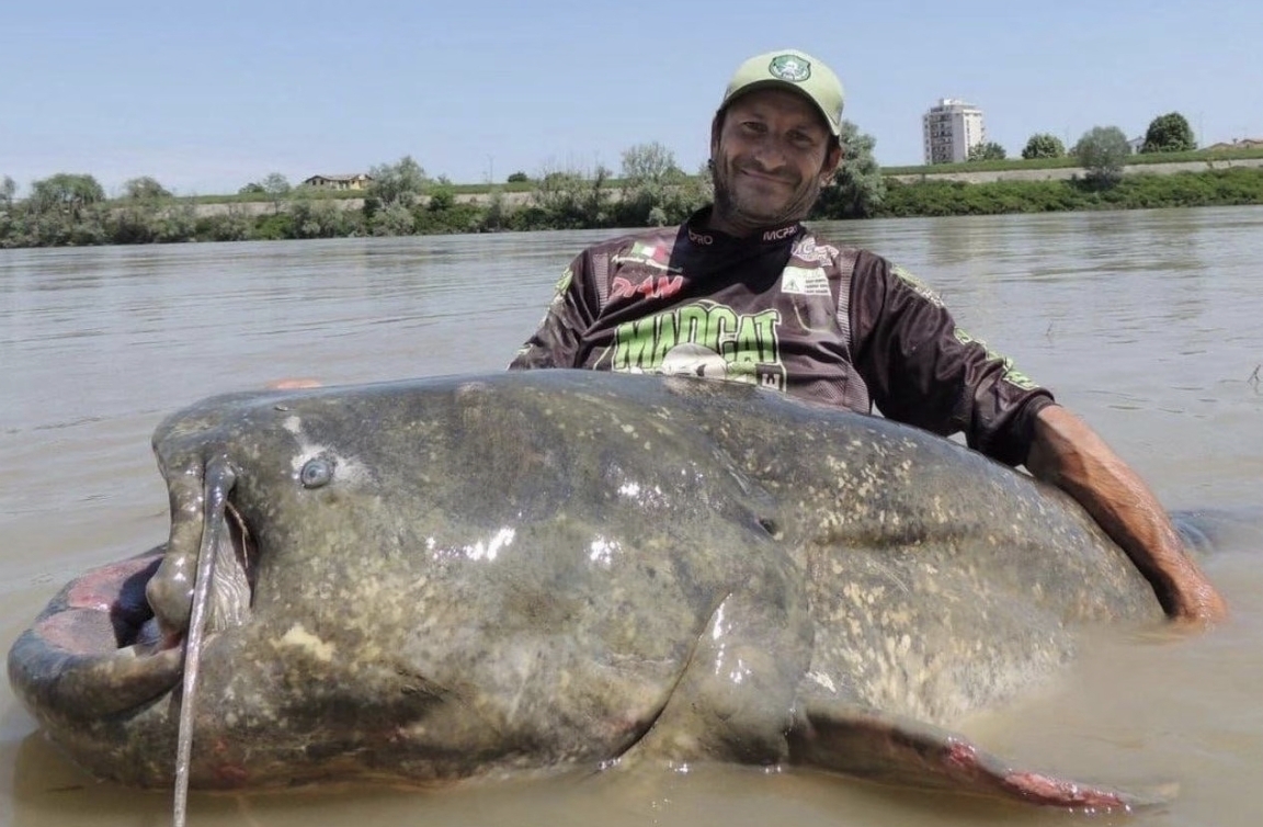 他曾在刚果河钓起长1