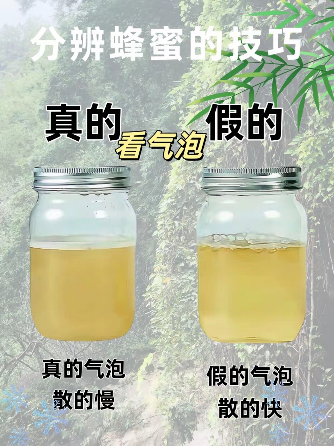 蜂蜜认真假怎么认辨别(蜂蜜真假怎样辨认)
