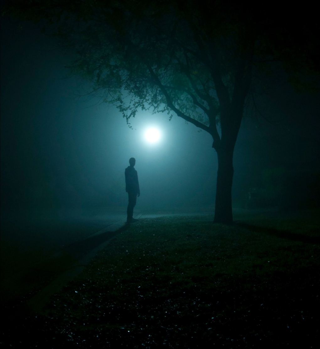 《风树》 孤独, 是否喜欢藏在黑夜里