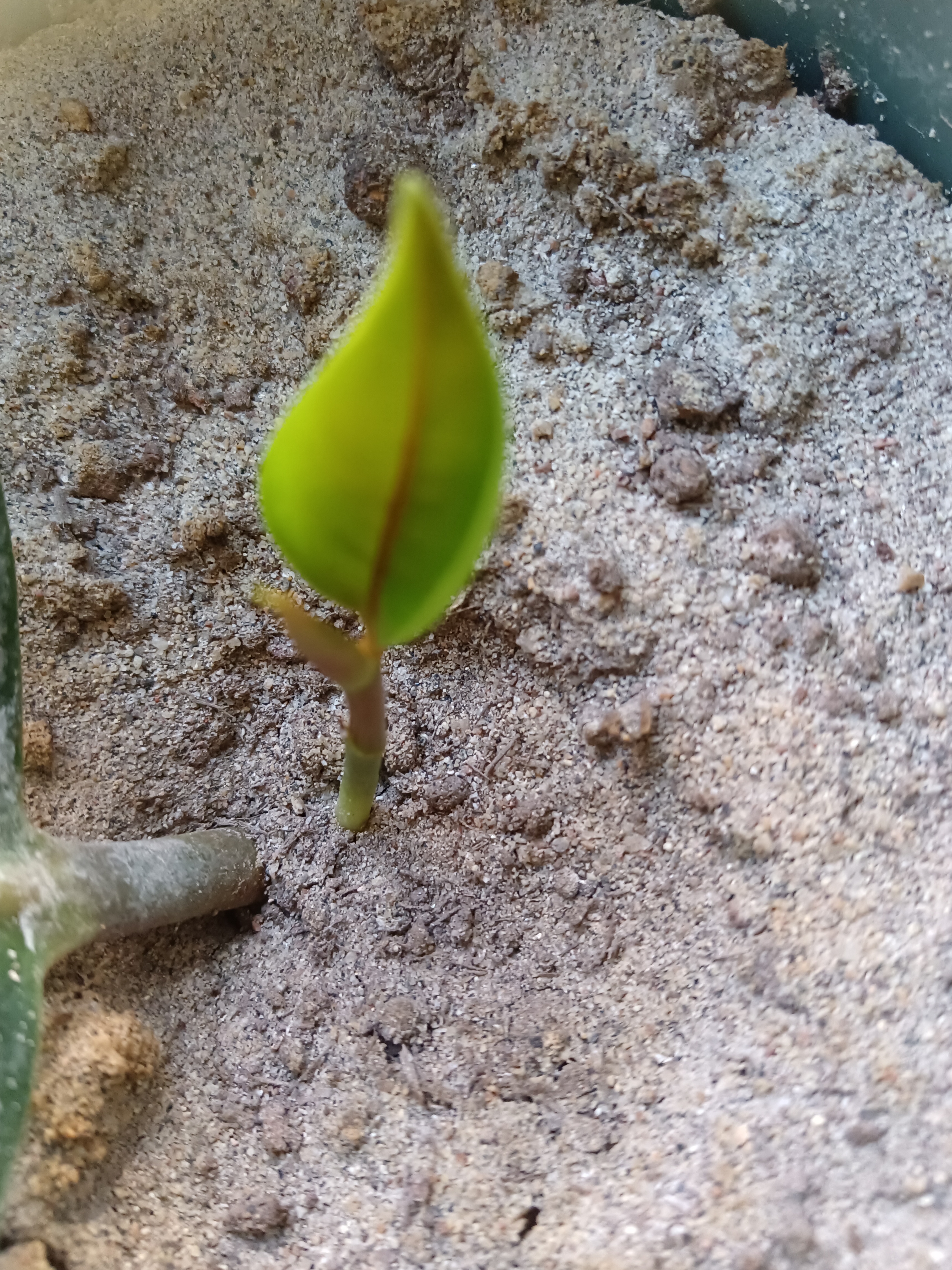 2023我这一年的成长#生活嘛,就是不断的接受现实