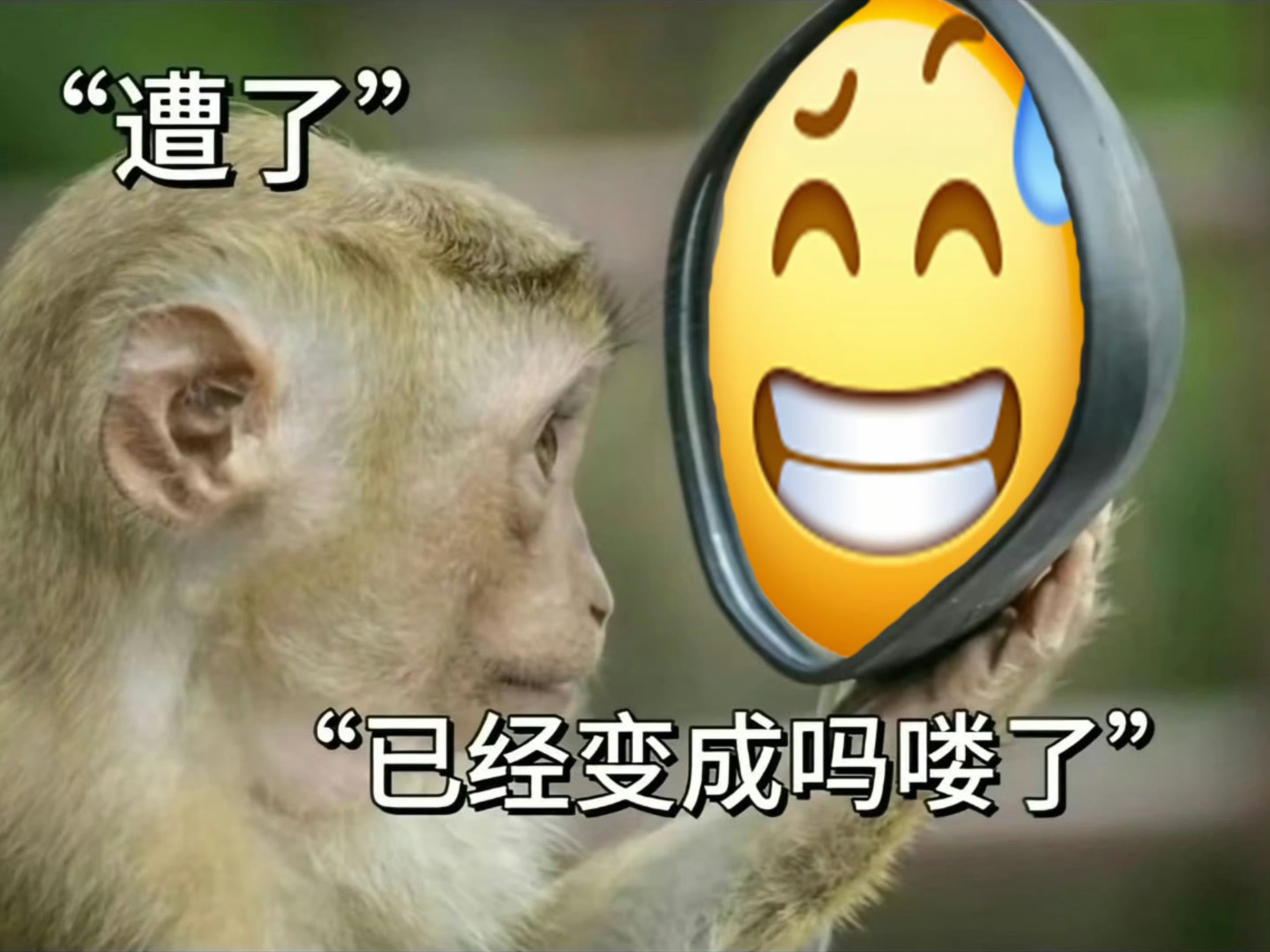 我觉得这个"傻笑"的意思就是等于"你看看你说的啥/你看看这方案是个啥