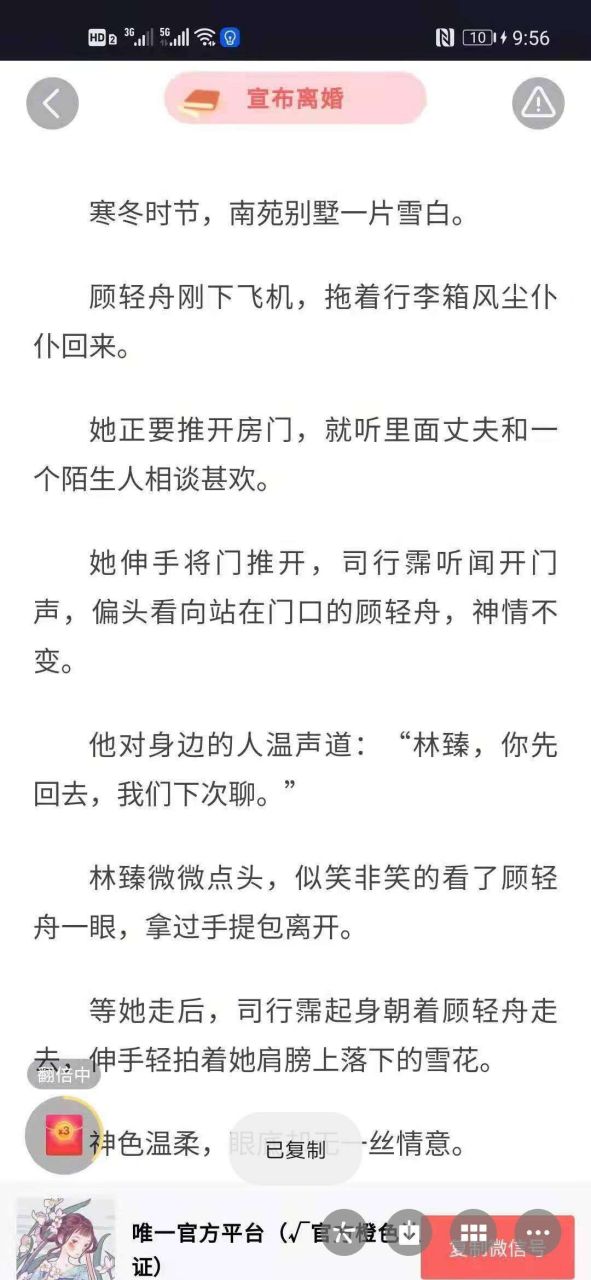 抖音完整版《顾轻舟司行霈》又名《顾轻舟司行霈林臻》全文在线阅读