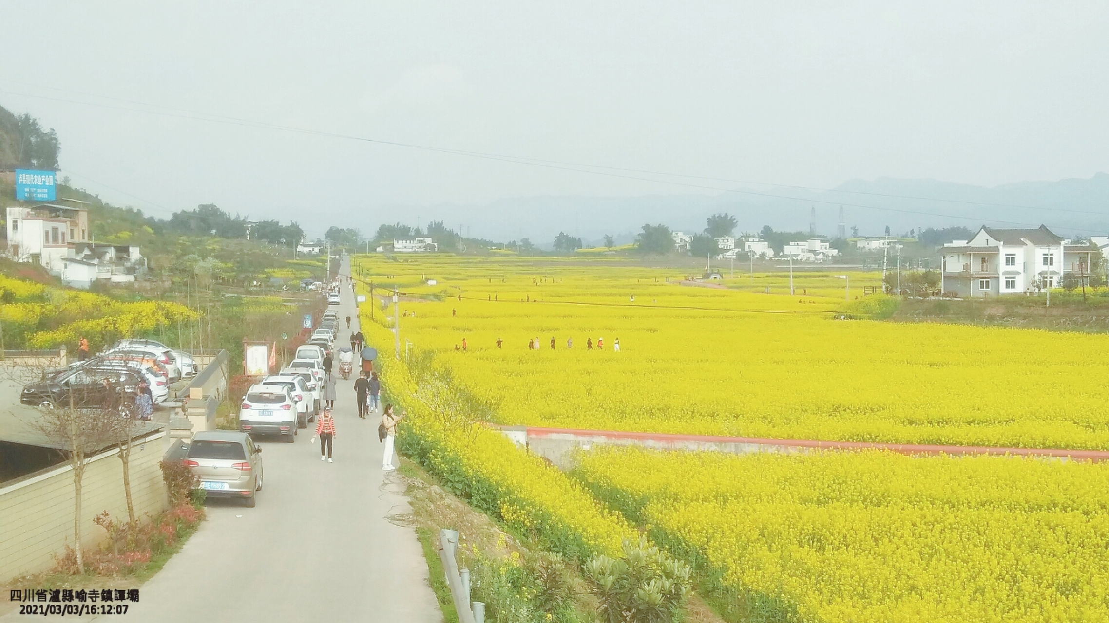 四川省泸县喻寺镇谭坝.
