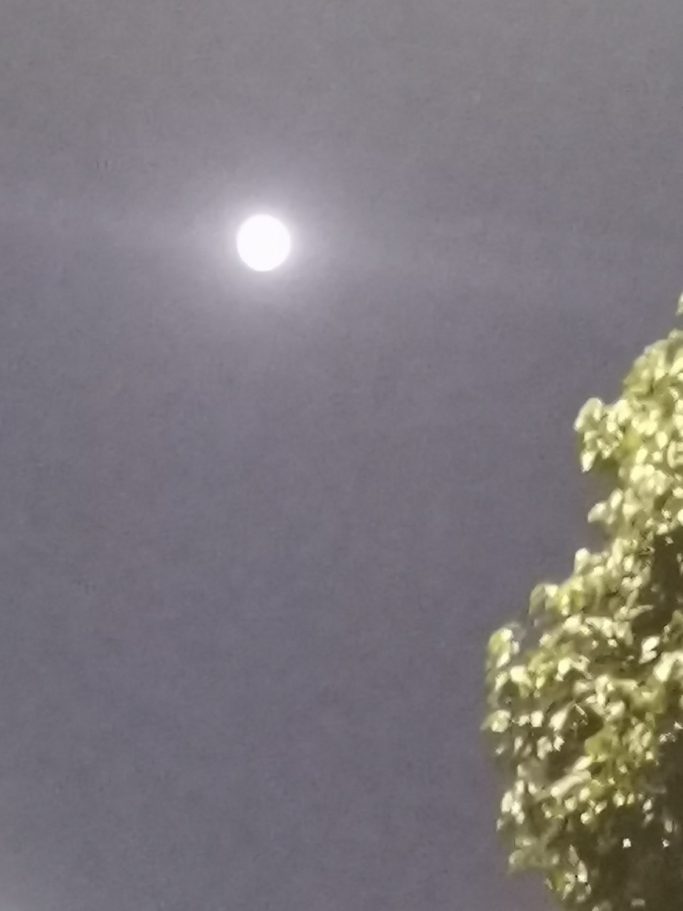 成都壬寅腊望皓月当空