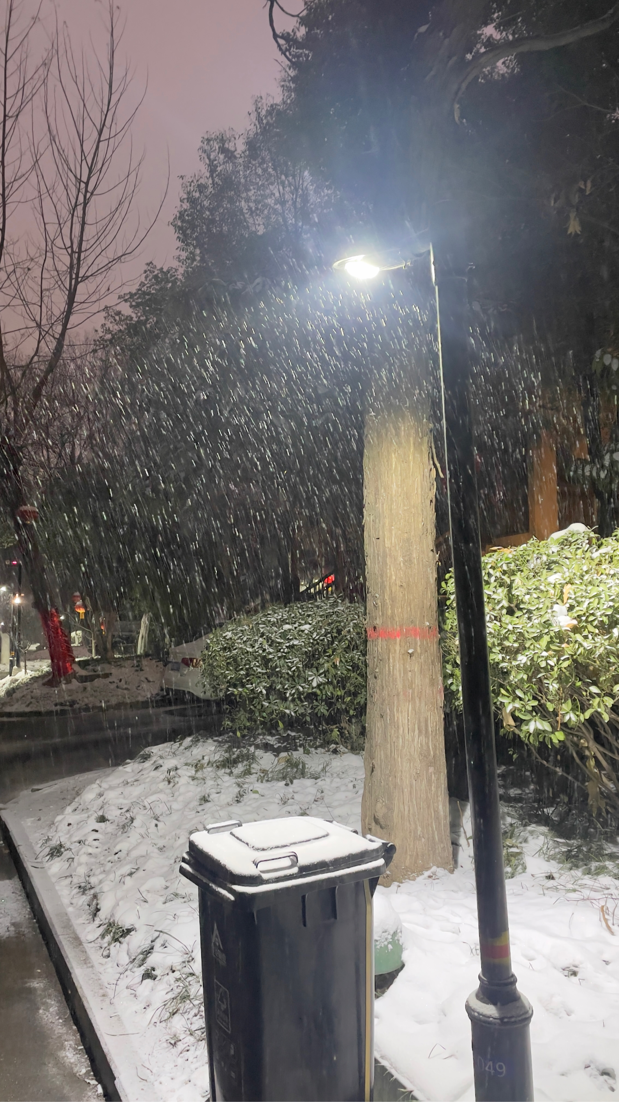 在雪后的深夜,漫步在静谧的小巷,我发现了这盏亮着的路灯