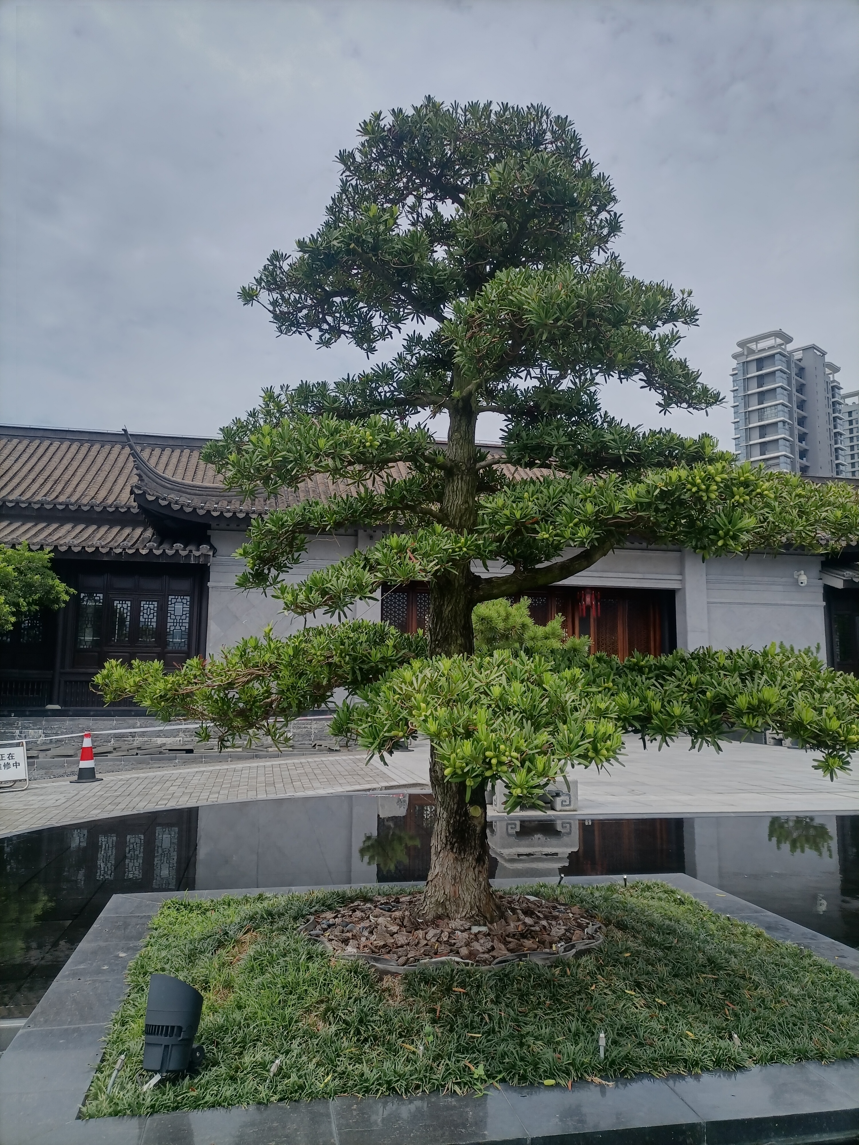 福州市闽侯县竹岐乡闽越水镇