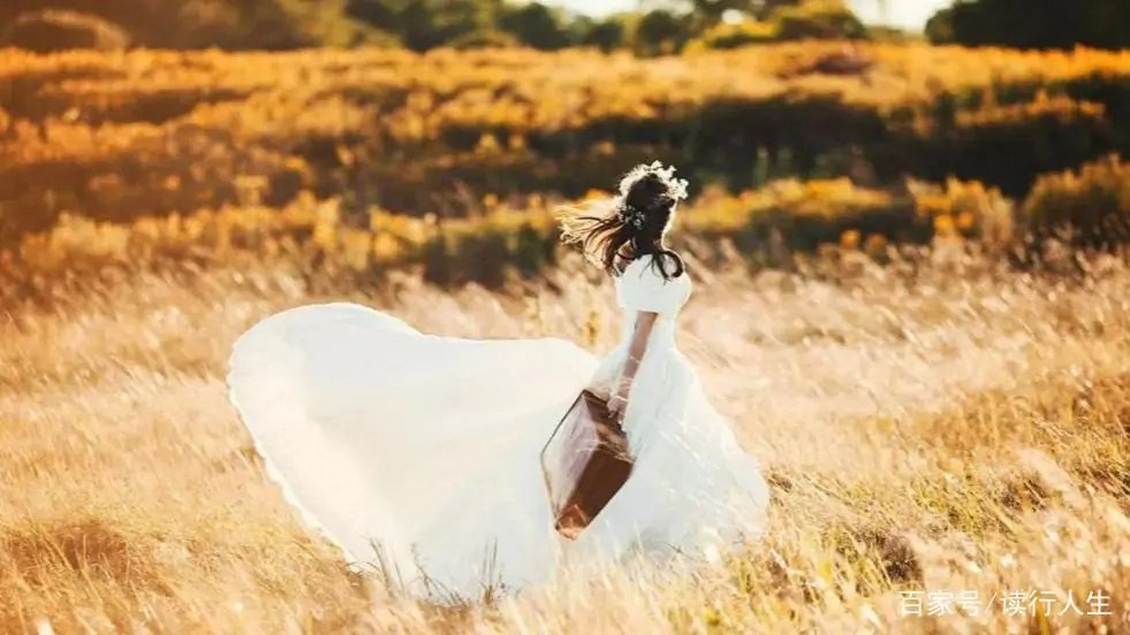 深蓝之剑# 如果所有的概不思议,如果所有的伤害烟消云散,让日子安静