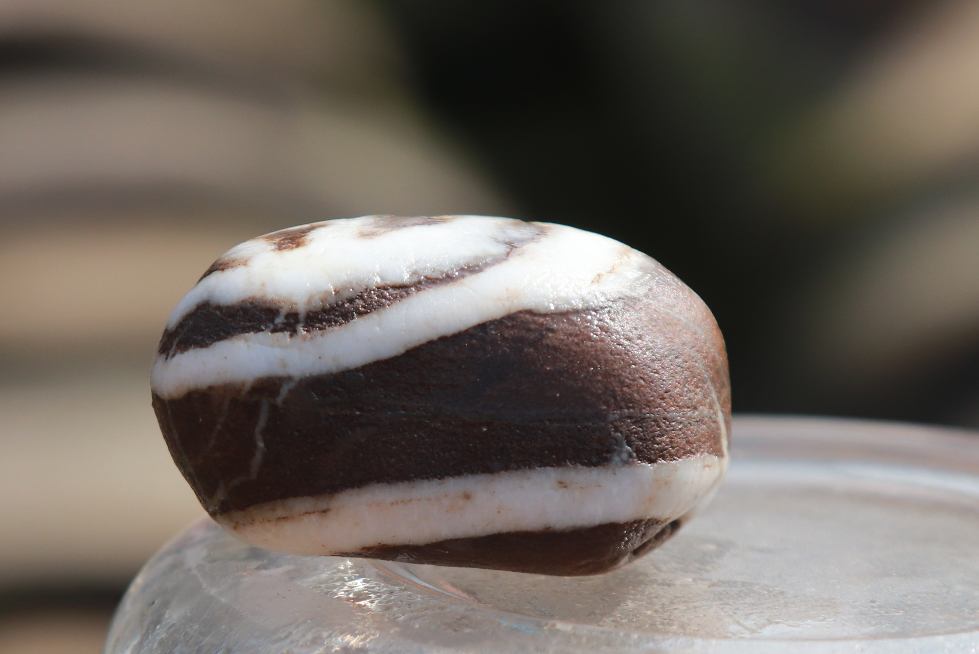 新疆若羌戈壁滩捡到的玉石.