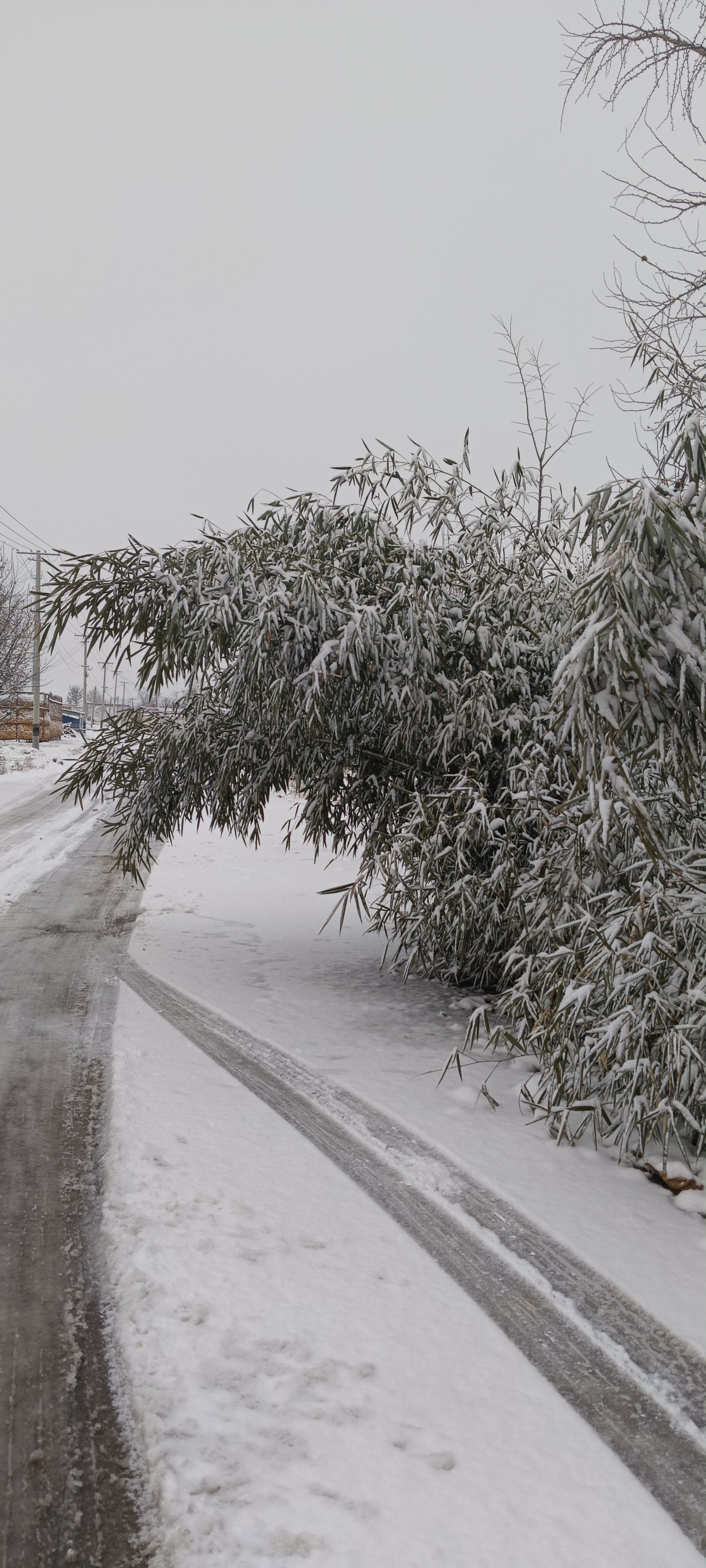 07  雪花飘飘,我的车车们在雪地里玩耍,太可爱啦!