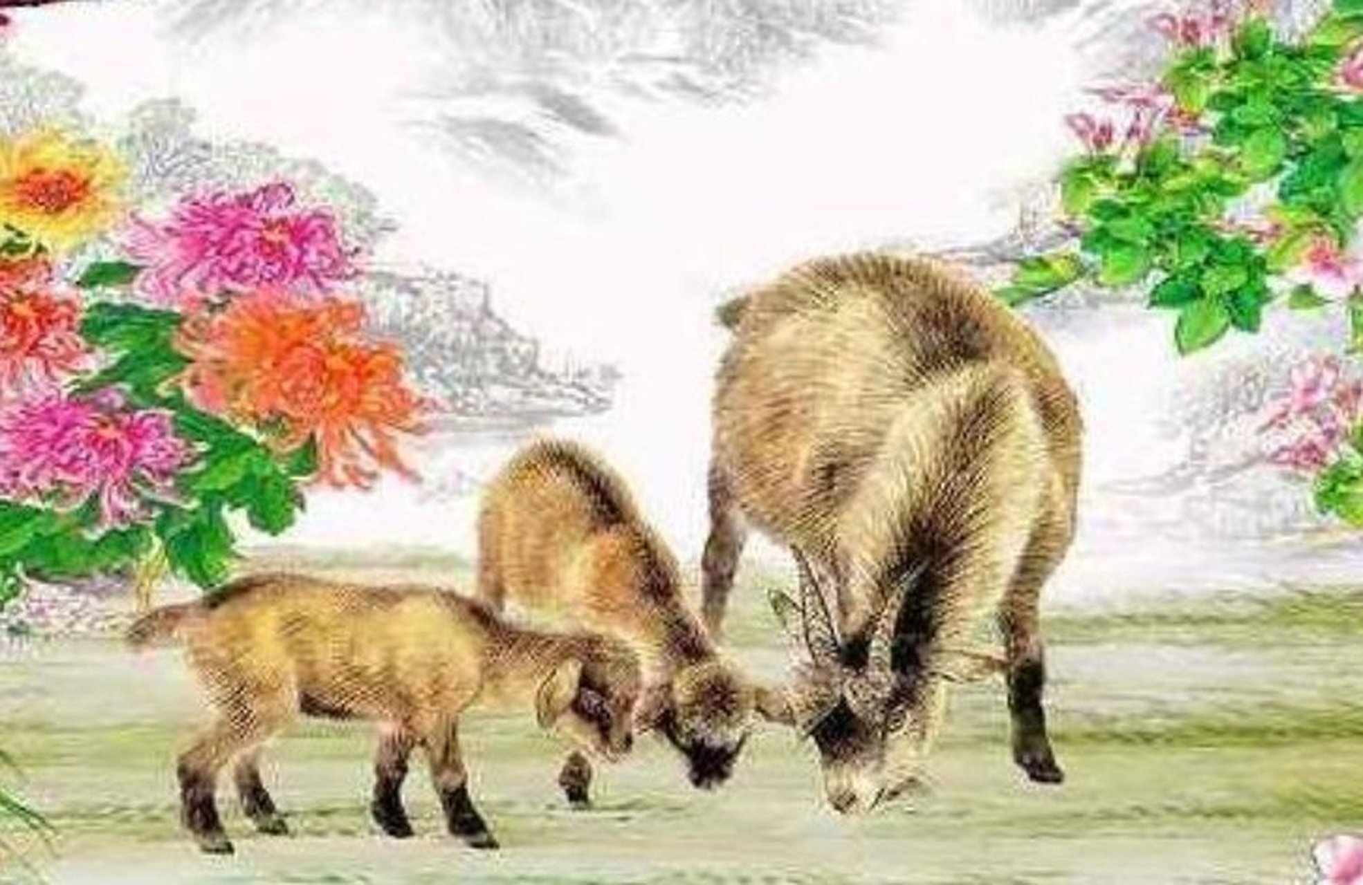 生肖羊配生肖猴 属羊的人和属猴的人也是互补型人格.