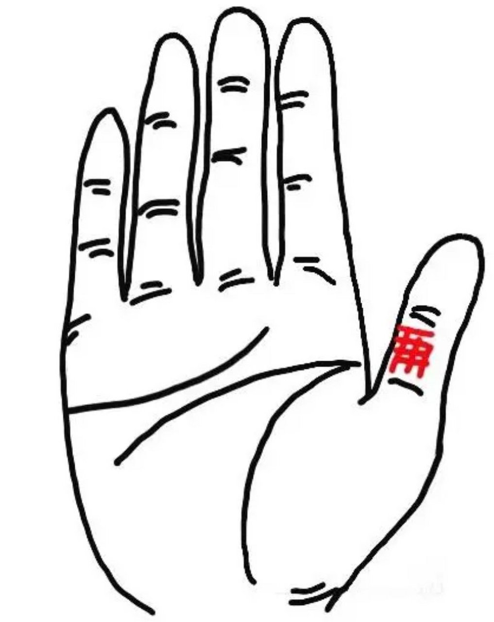 手中有守财纹  所谓守财纹指的是大拇指第二节指腹中的横纹或竖纹,亦