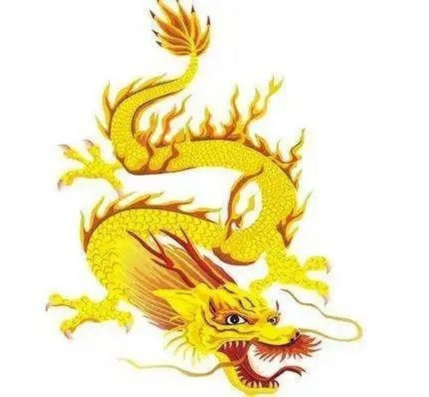 生肖龙  属龙的人从小就很懂事,即使不需要家人的监督,都能够自主学习