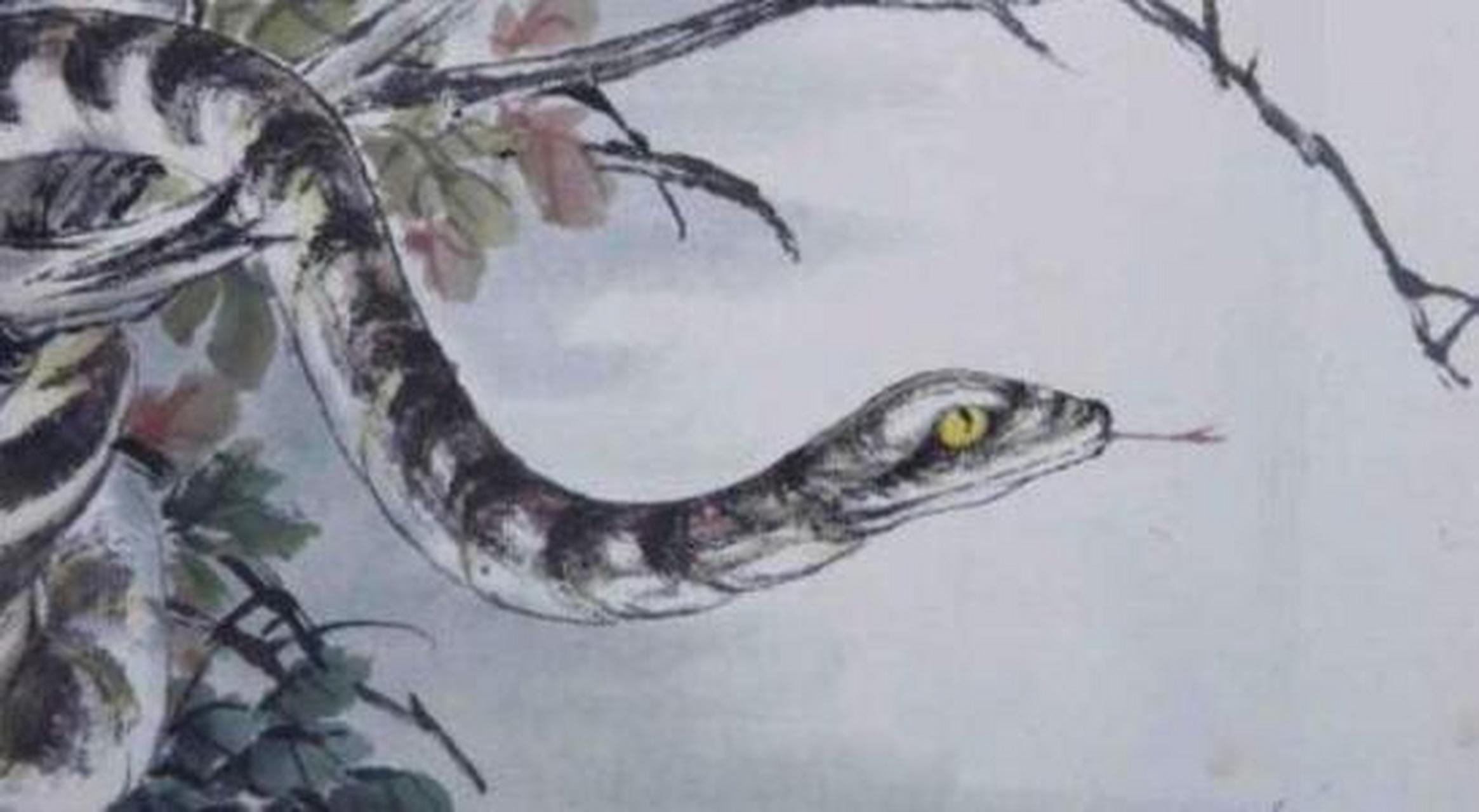 晨光初照的蛇影，一位属蛇女性的蛇咬梦解析