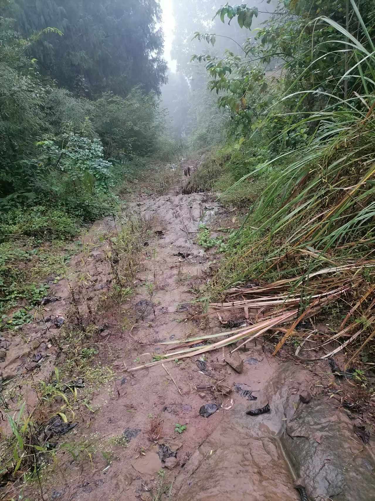 好  南充市营山县高码3大队8队和6队  还是这么差的土路  还是贫困村