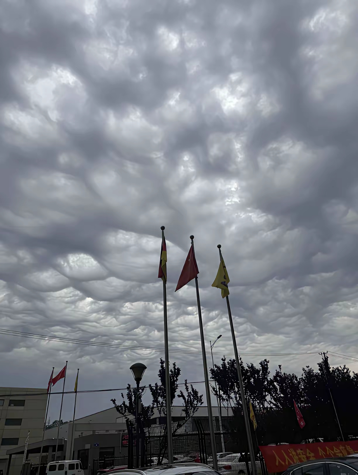 大连天空惊现"云毯"!是异象还是自然艺术?