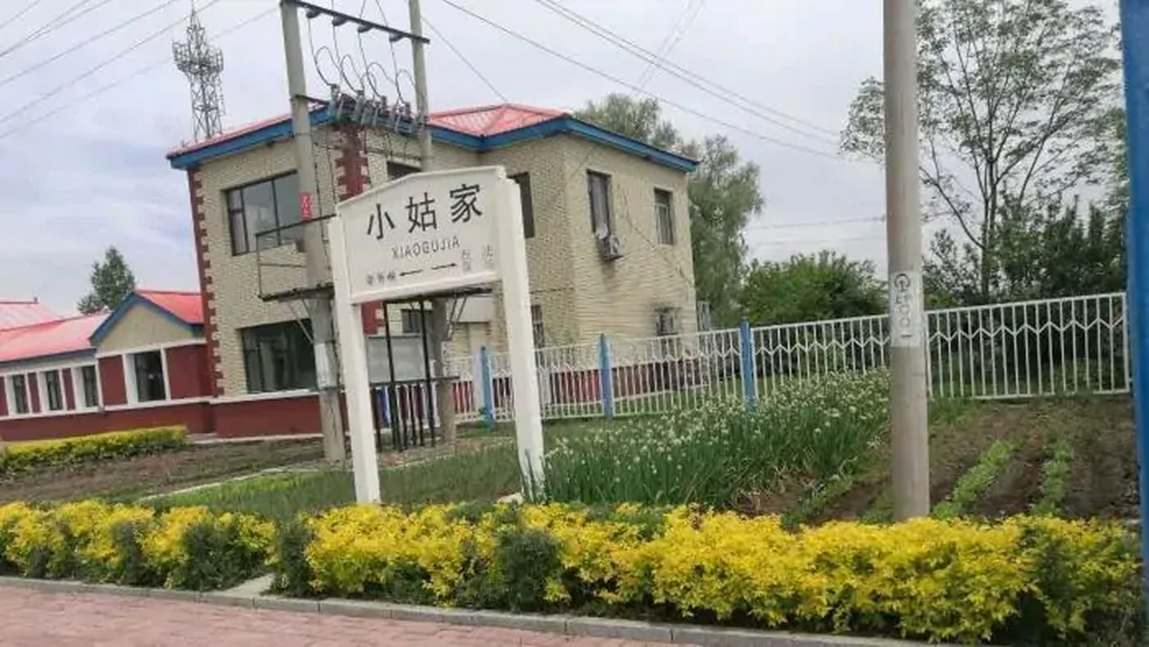 吉林省蛟河市新站镇小姑村的小姑家站[鲜花]